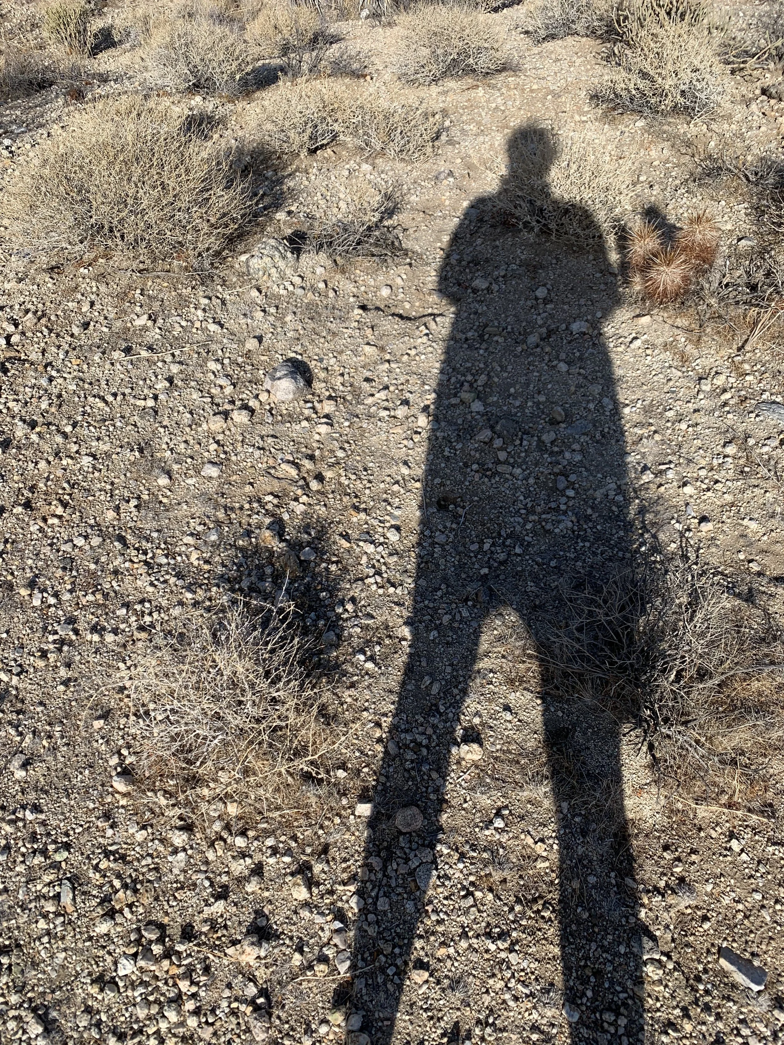 Long shadow of the Panorama House owner photographing the rocky Mojave Desert ground in the afternoon sunlight.