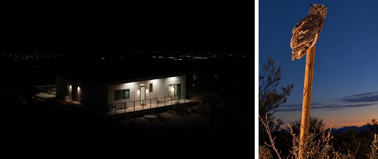Panorama House illuminated at night in the Mojave Desert, paired with an owl perched on a tall wooden pole against the deep blue twilight sky.