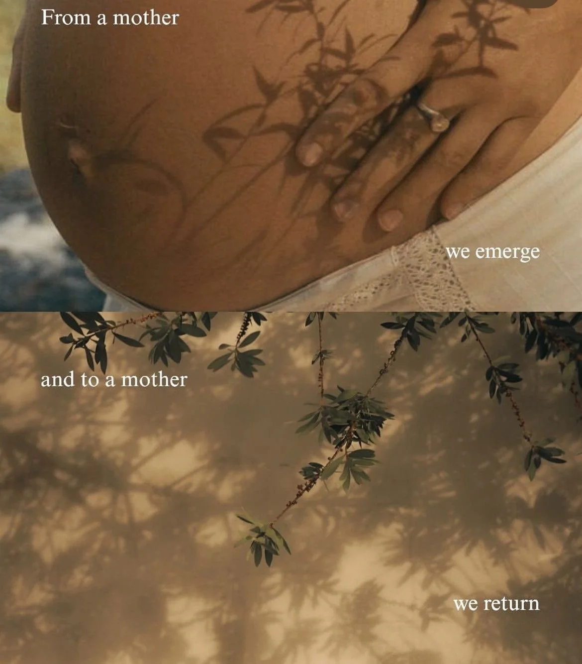 Close-up of a pregnant woman's belly with a tattoo, hand resting on her belly, with overlaid text reading 'From a mother we emerge and to a mother we return.'