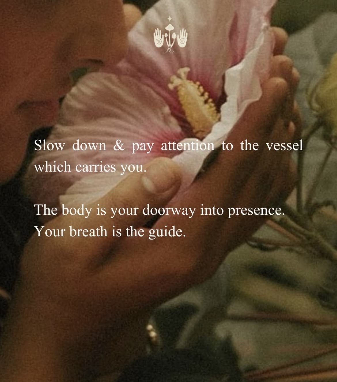 Close-up of a person holding a pink flower with a yellow center. Overlaid text encourages slowing down and paying attention to the body and breath.