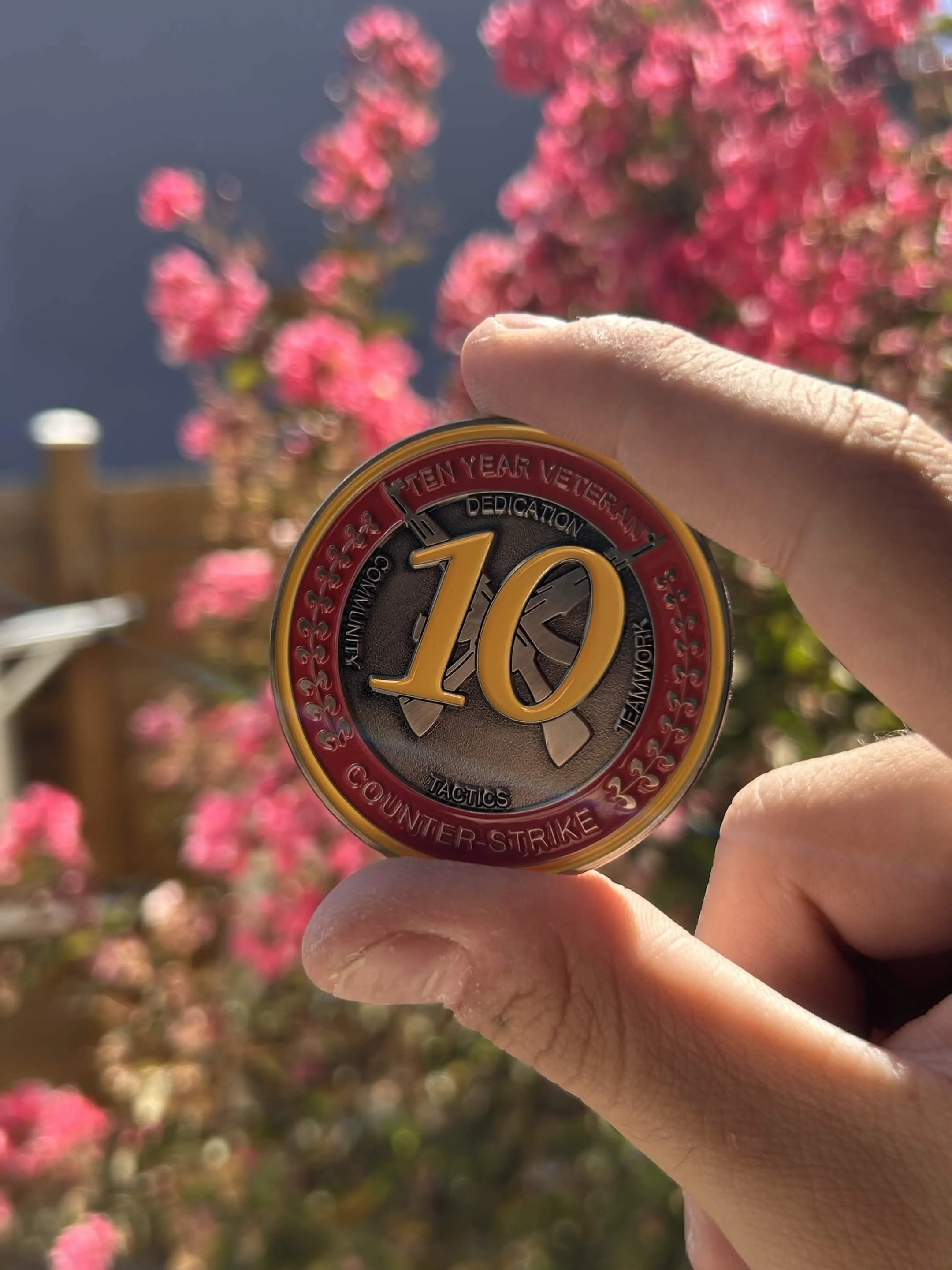 CSGO Handmade 10 Year Veteran Challenger Coin METAL  – Counter Strike Inspired Collectible coin (PACK OF 1) CSGO
