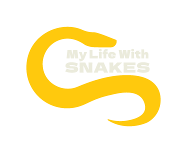 My Life With Snakes