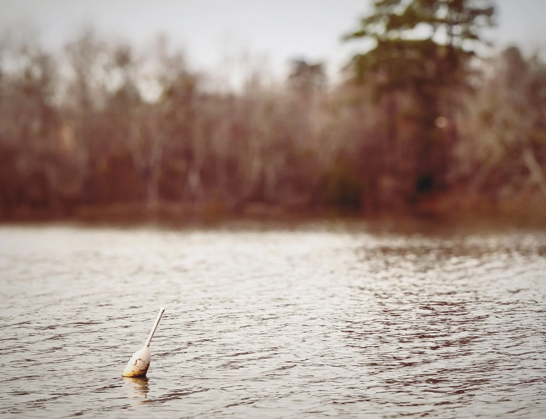 A buoy floating in a body of water with trees and overcast sky in the background.