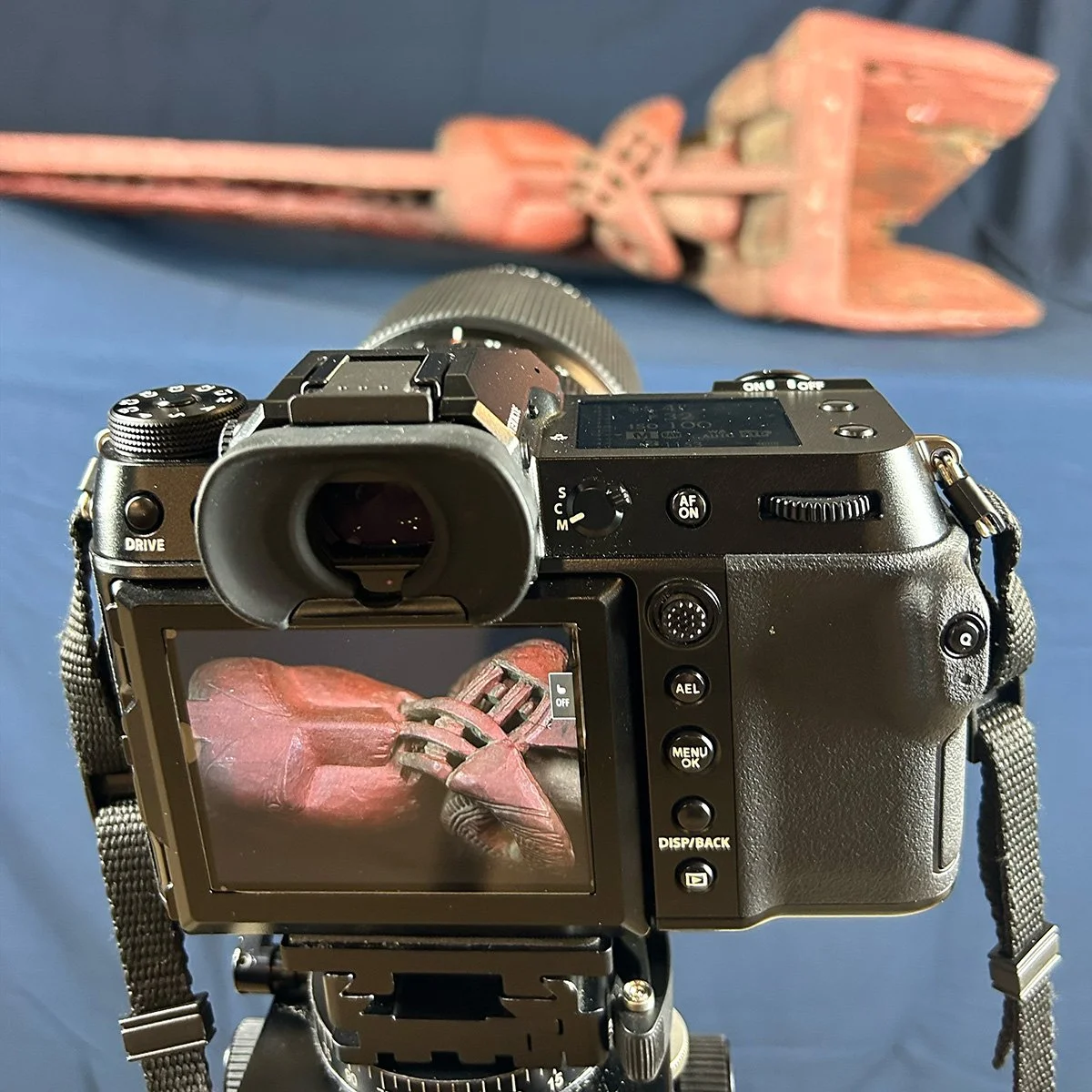Pardington camera view.jpg