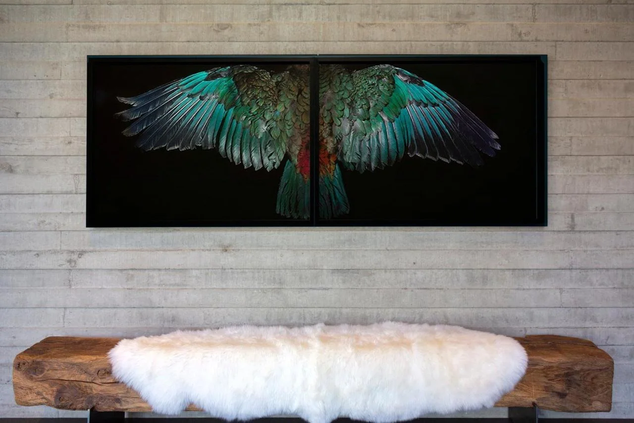 A framed Fiona Pardington photograph of a colourful bird with its wings spread, displayed on a concrete wall above a rustic wooden bench with a white fluffy cushion.