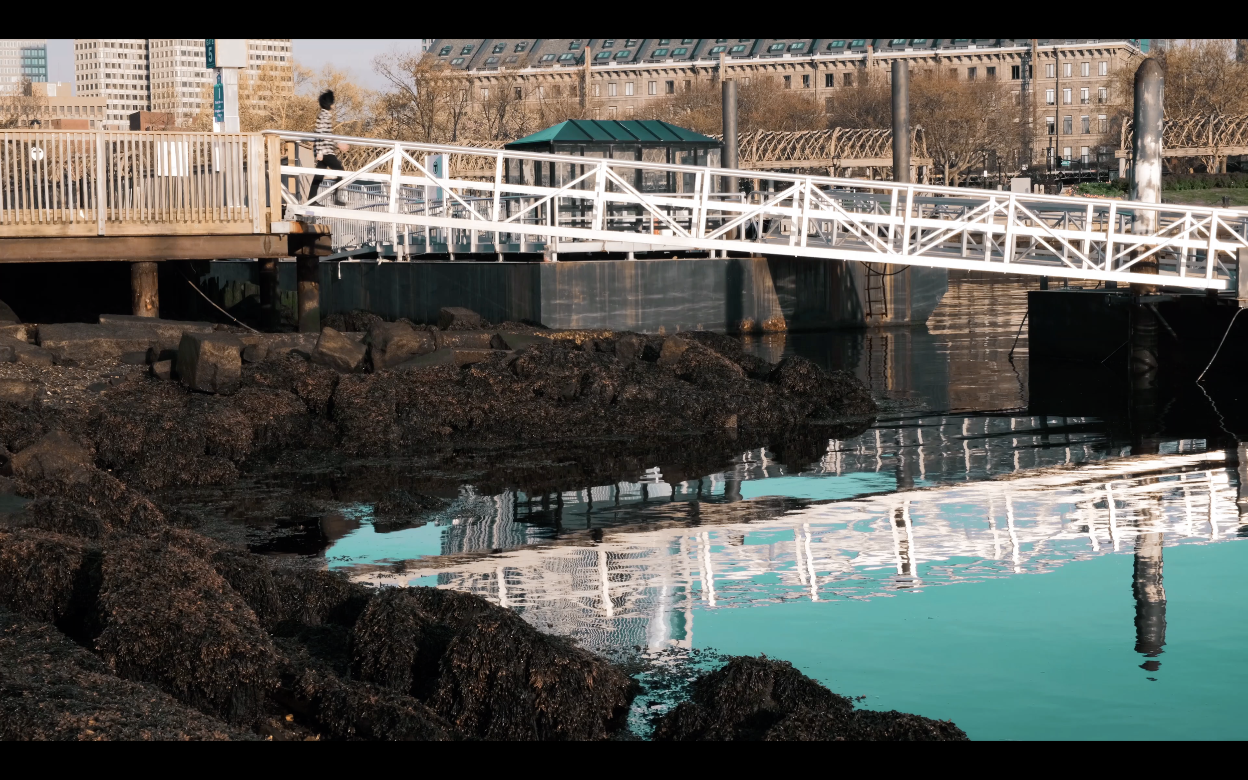 A cityscape with a waterfront featuring a white bridge, a rocky shoreline, and buildings in the background during daytime.