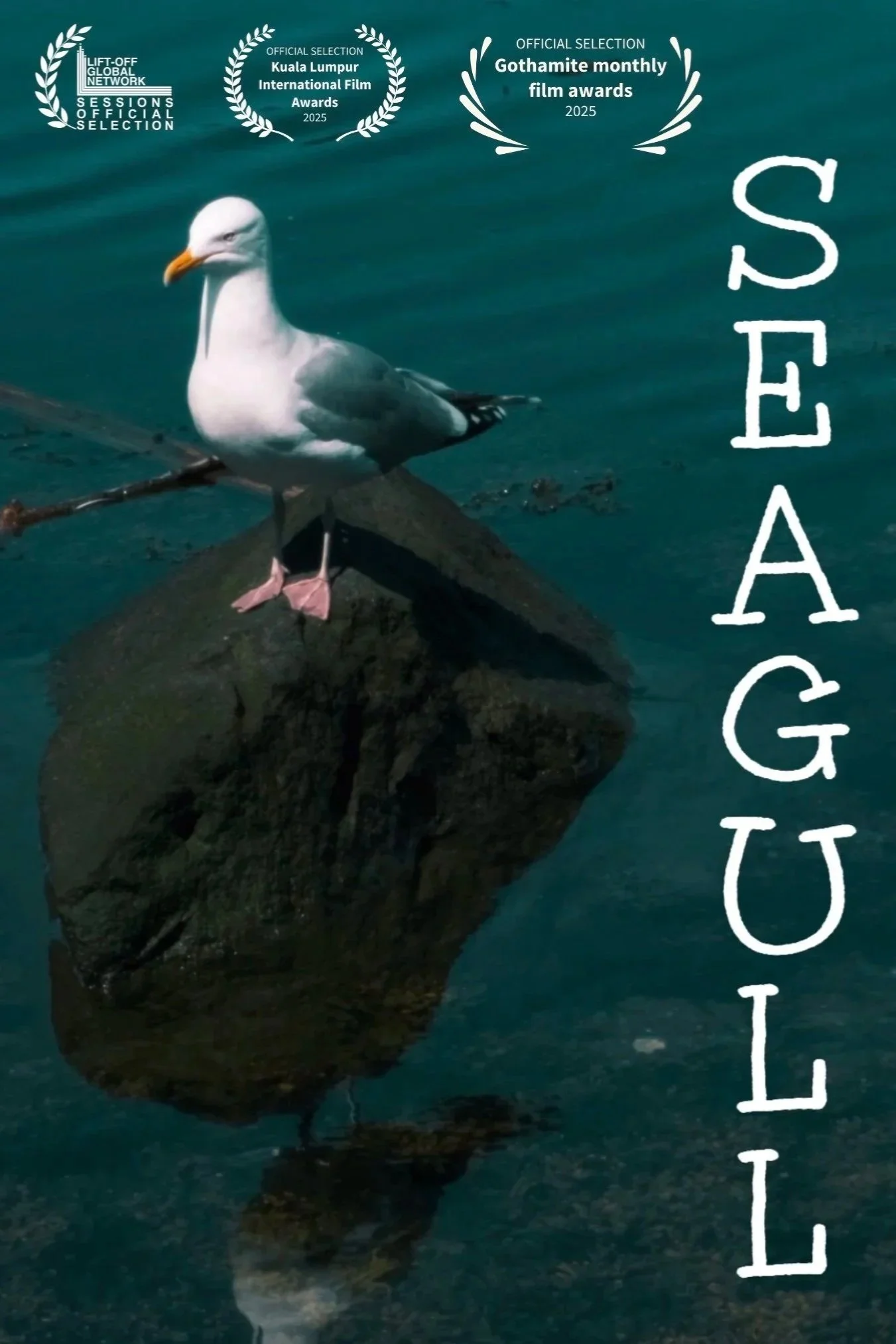 Seagull