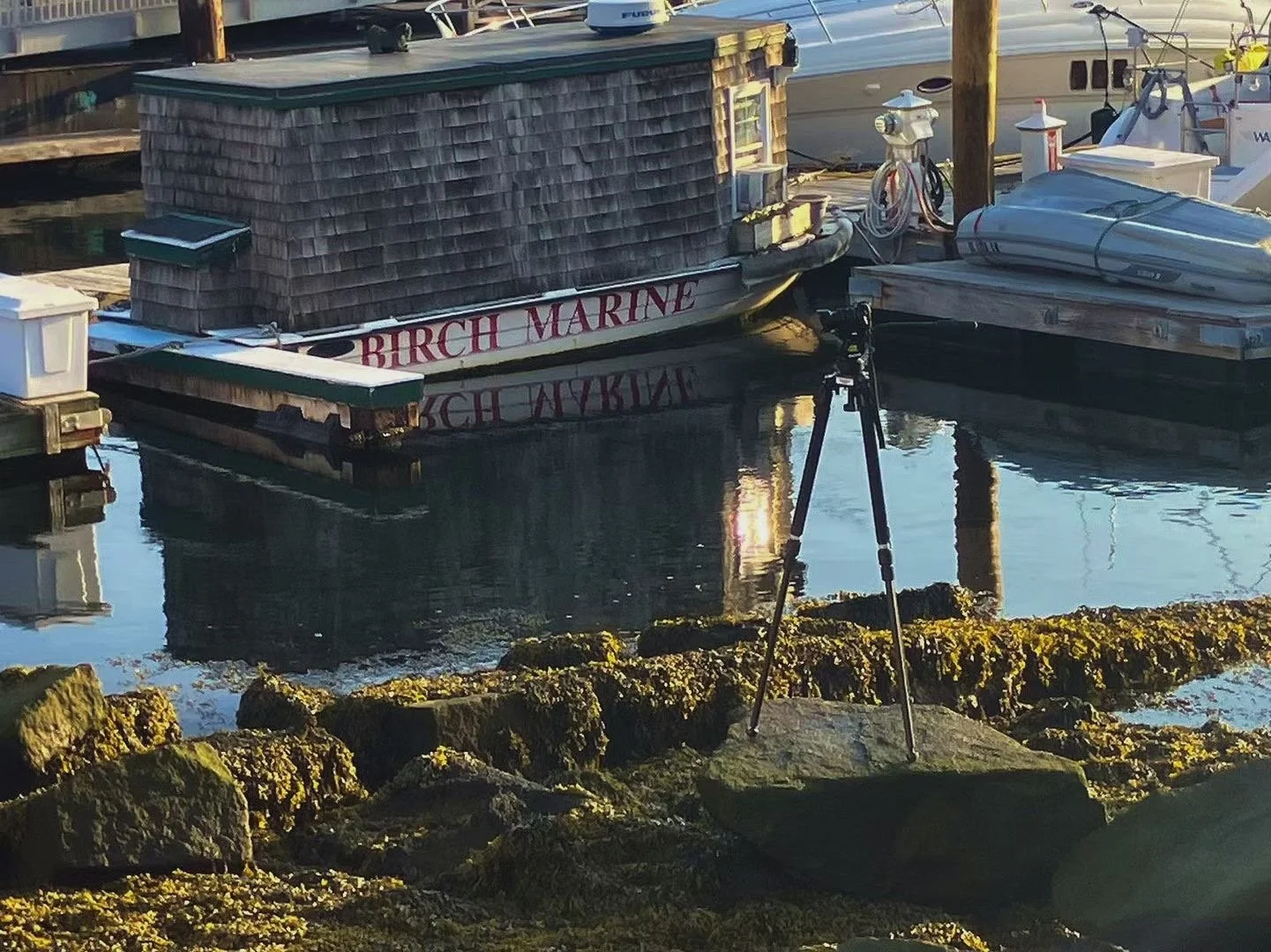 A dock with boats, including one labeled 'Birch Marine,' tied to post with a tripod-mounted camera or device in the foreground and moss-covered rocks along the water edge.