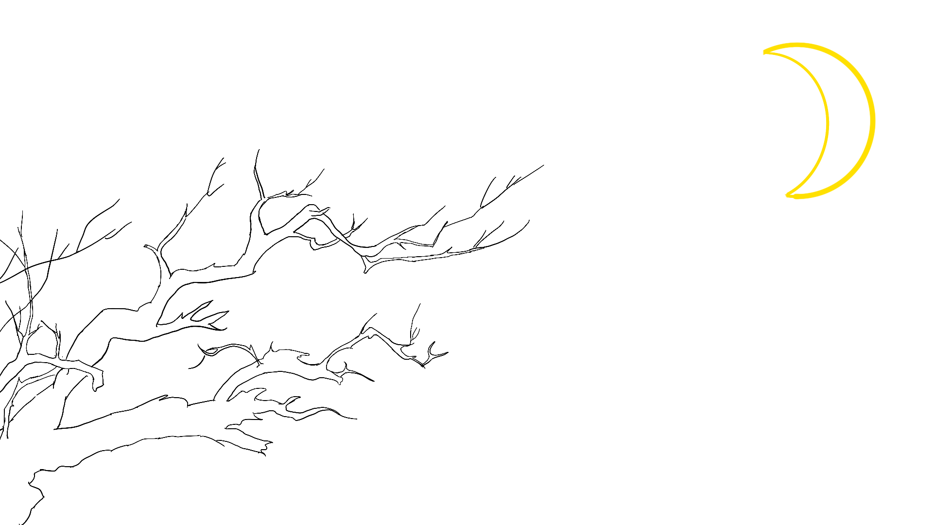 IMG_5497.png