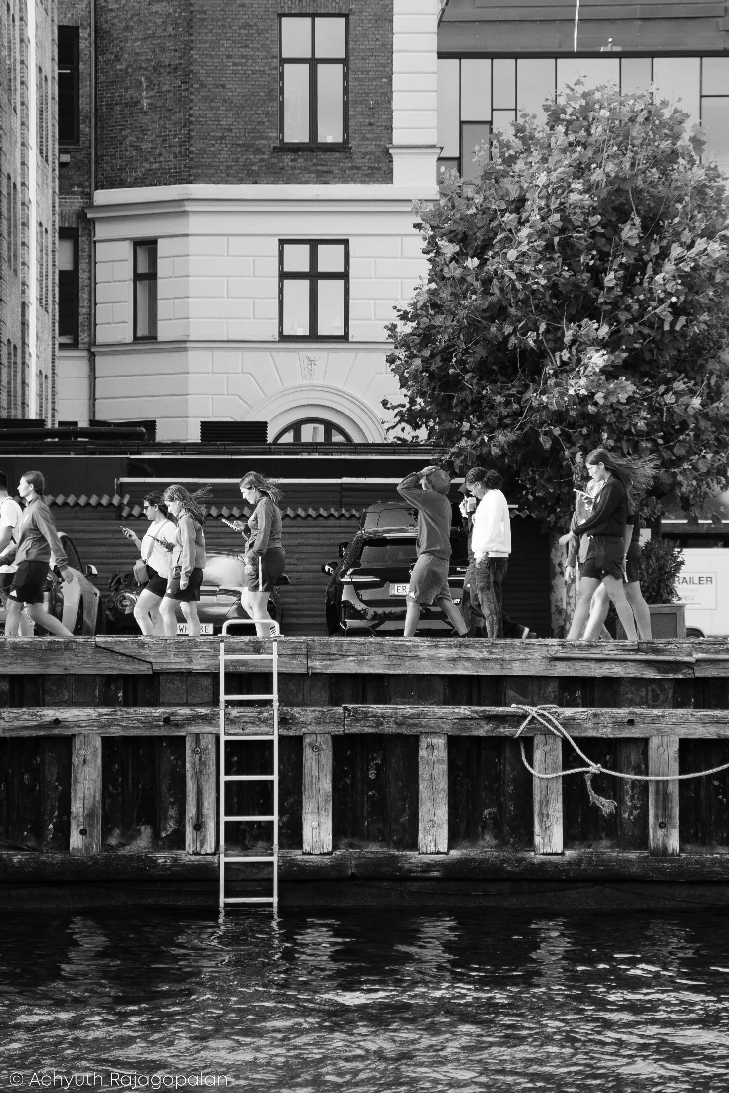 ACH08829.jpg