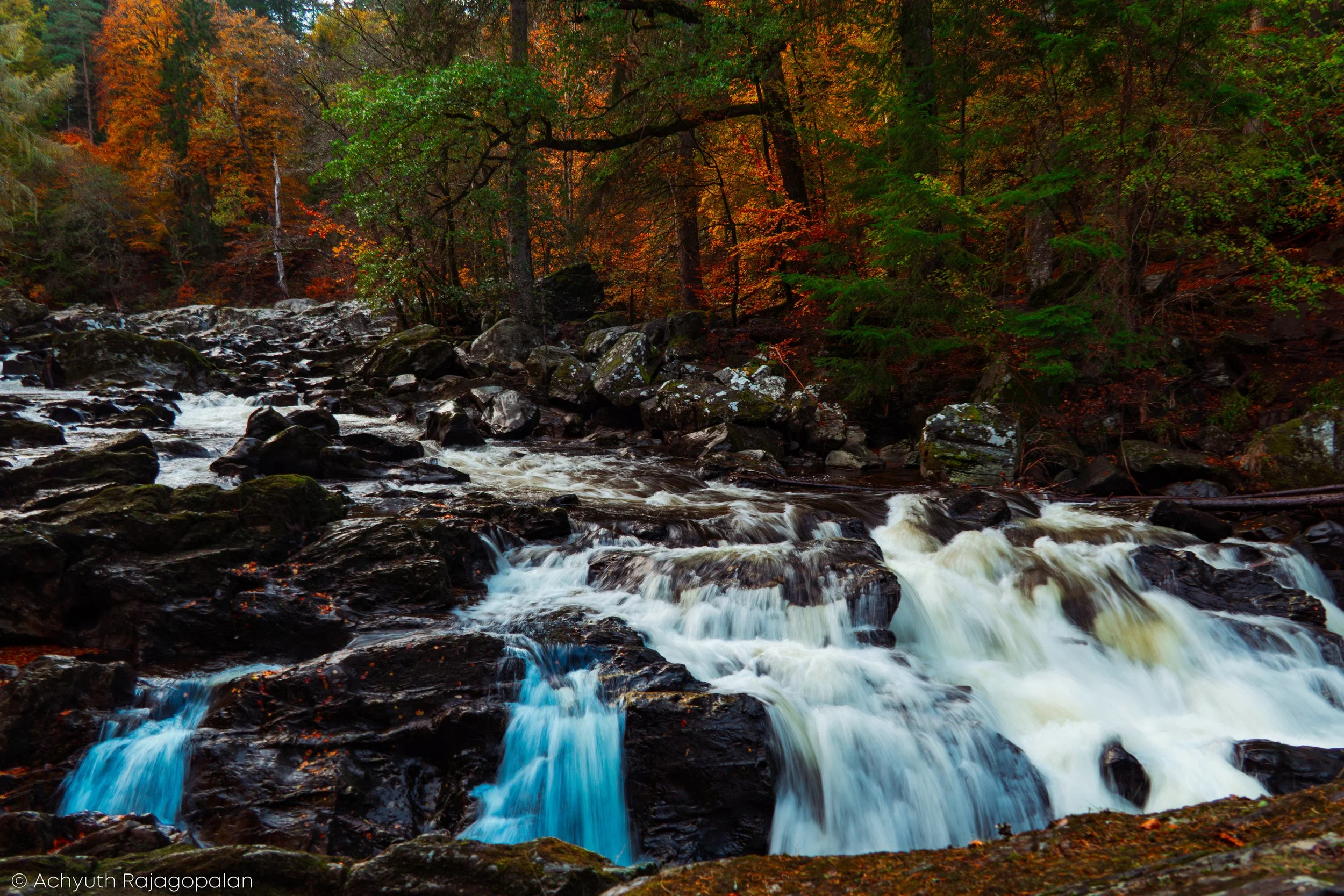 Hermitage-38.jpg