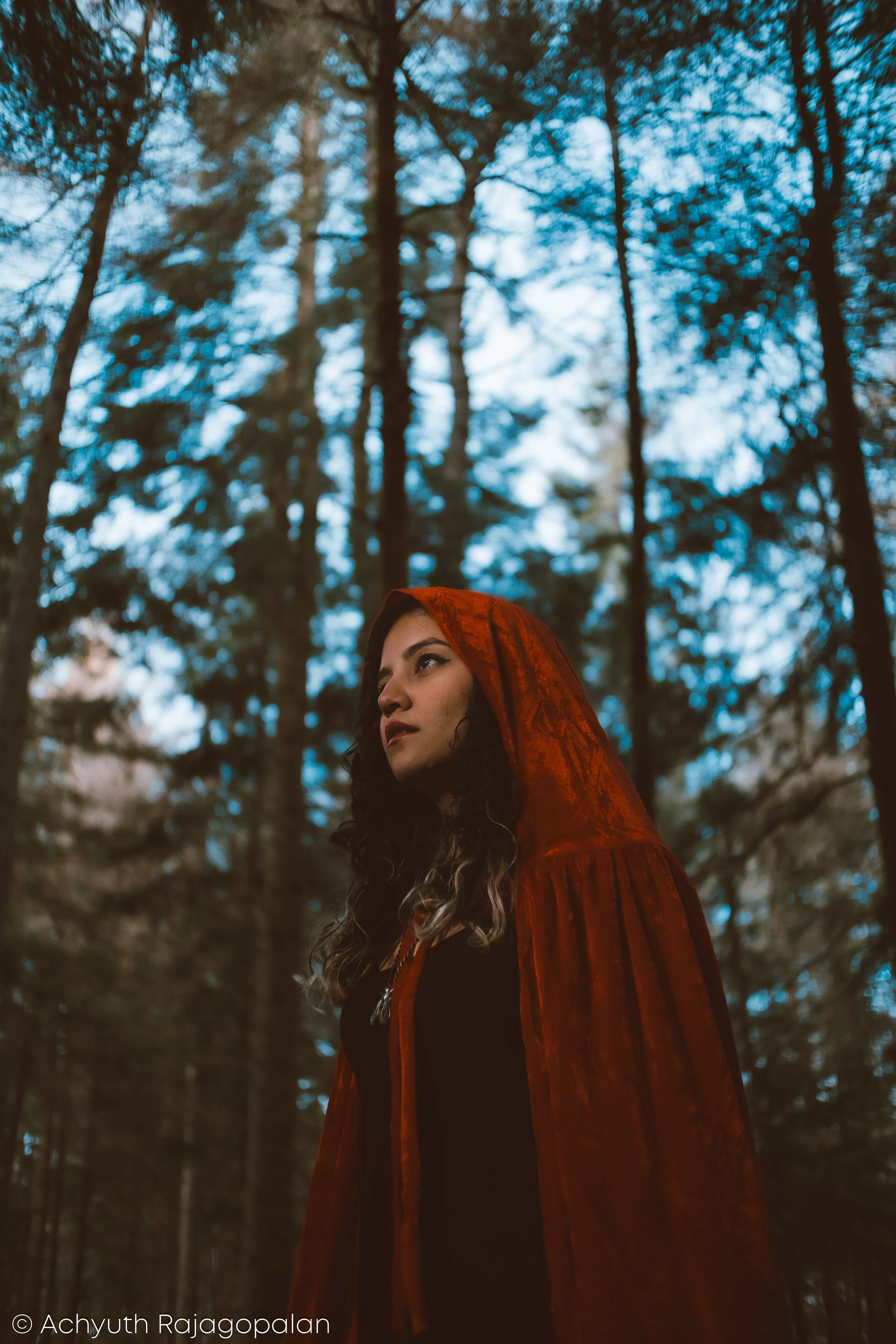 A woman with curly hair wearing a dark outfit and a red hooded cloak standing in a forest of tall pine trees, looking off to the side.