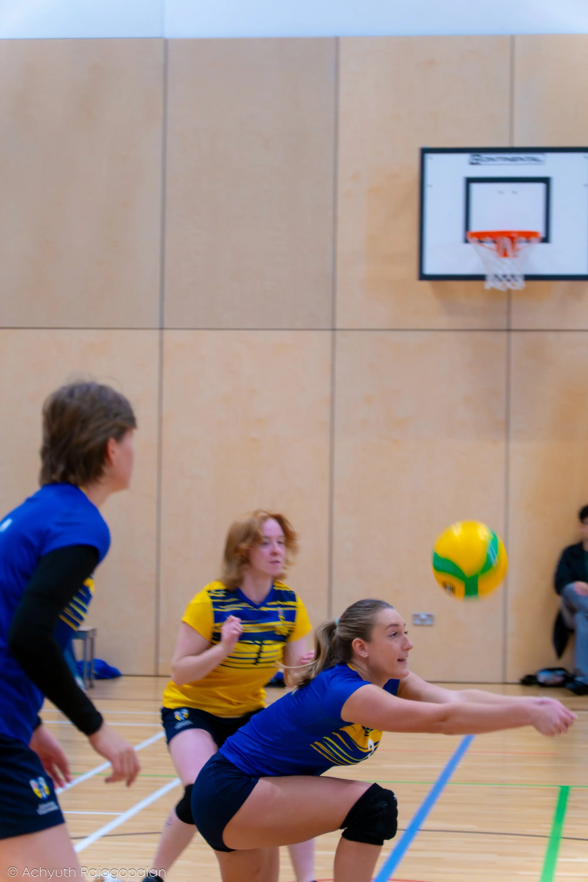 Indoor volleyball court with players in yellow and blue uniforms passing a yellow and green ball.