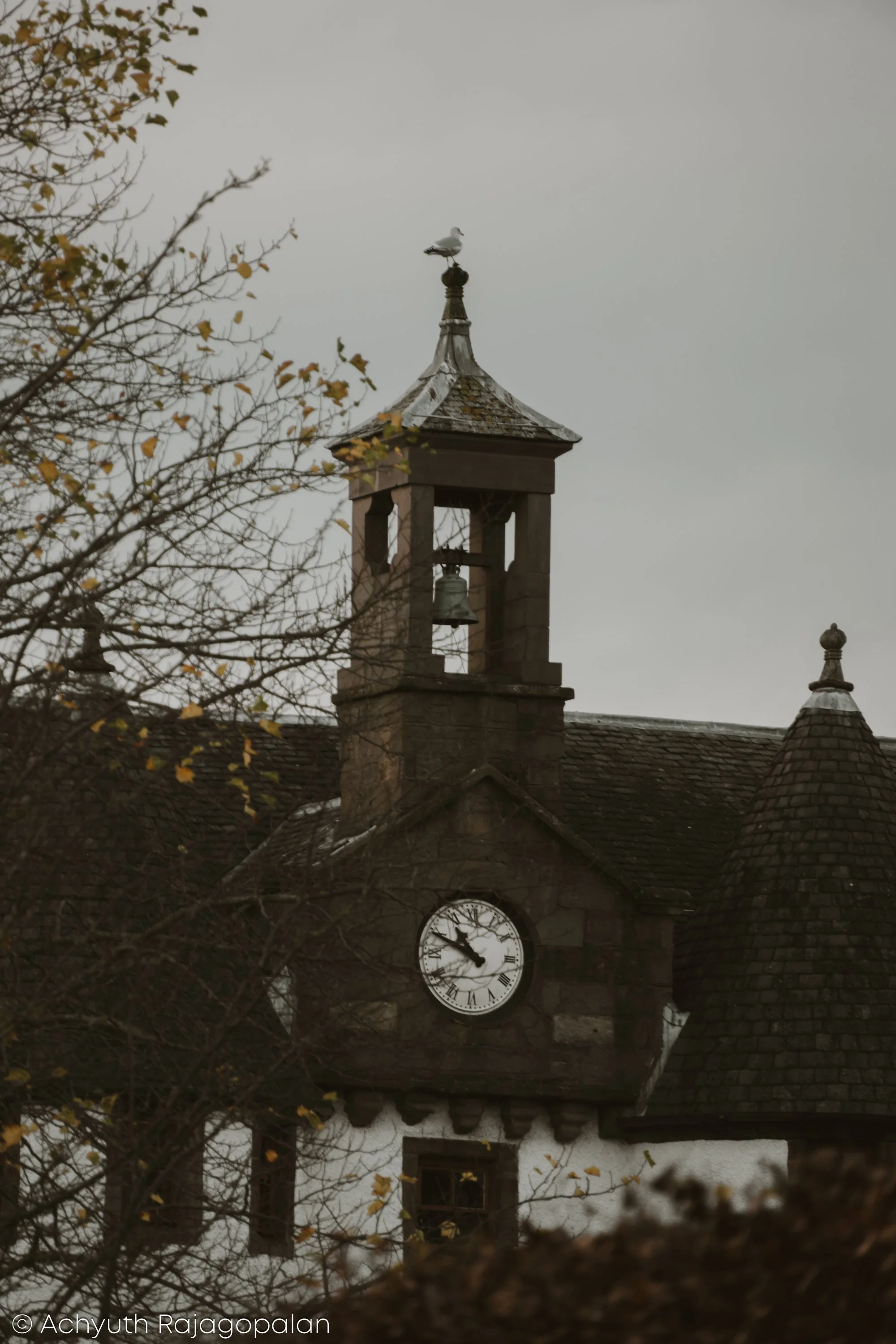 DSC08691-2.jpg