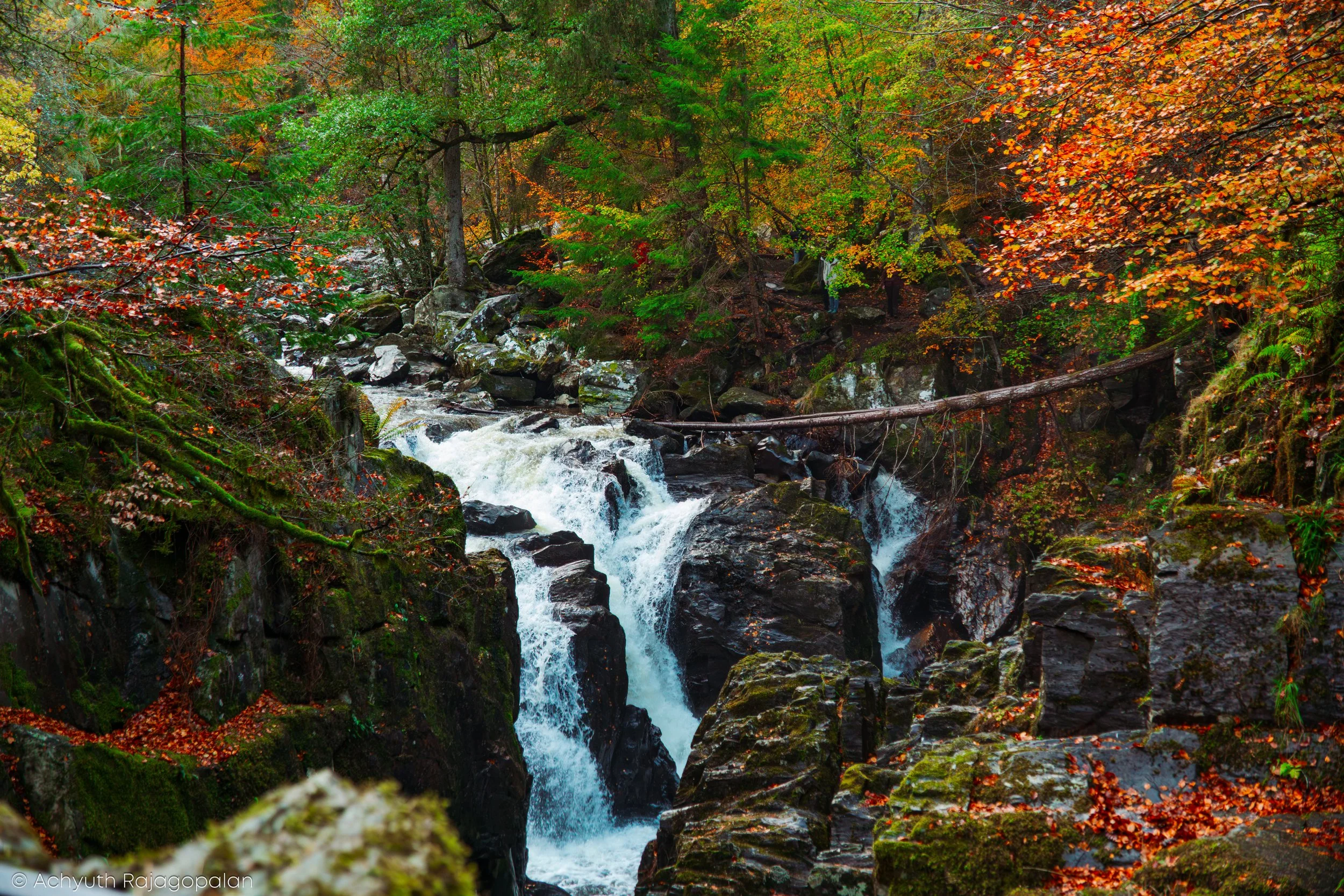 Hermitage-22.jpg