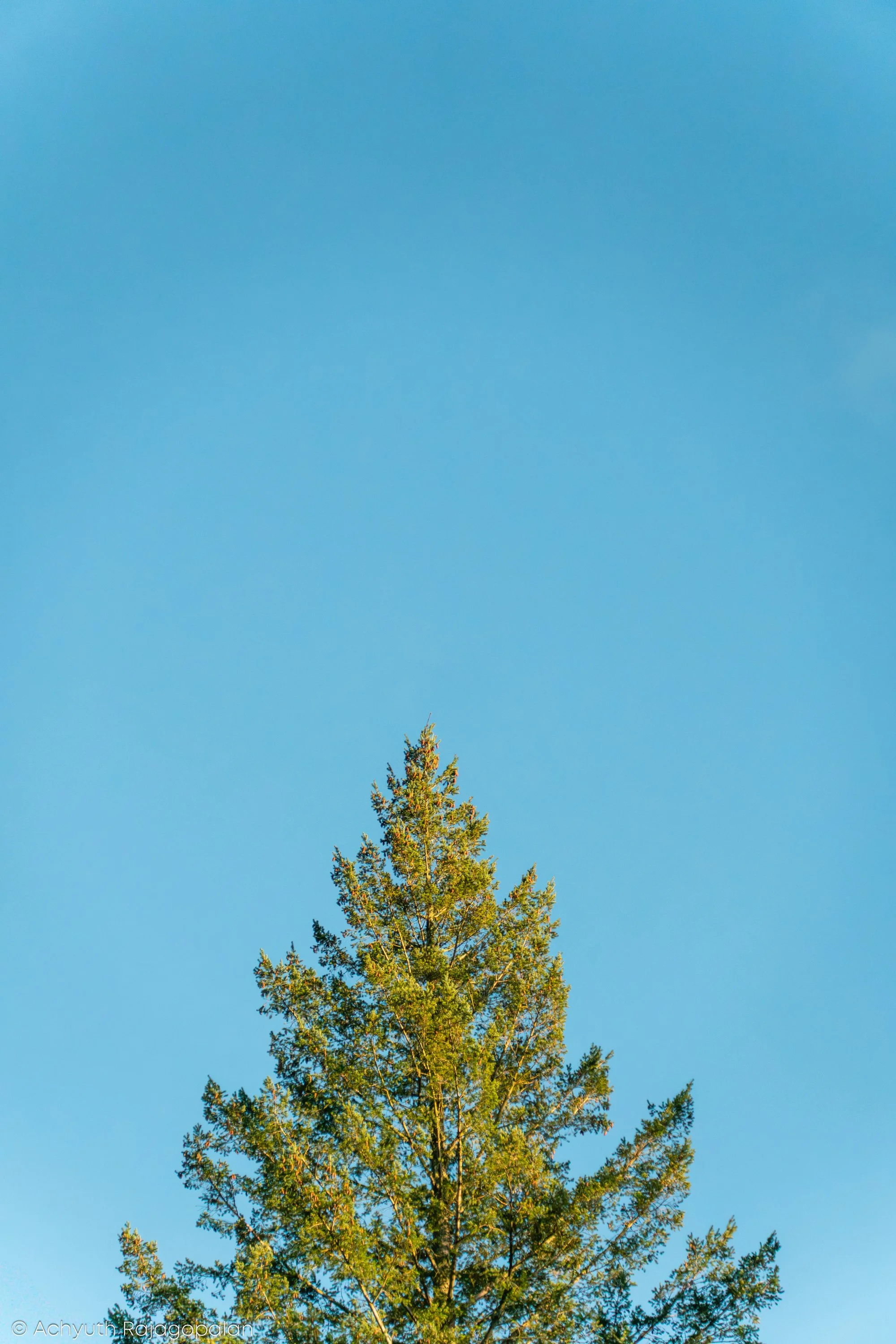 Hermitage-57.jpg