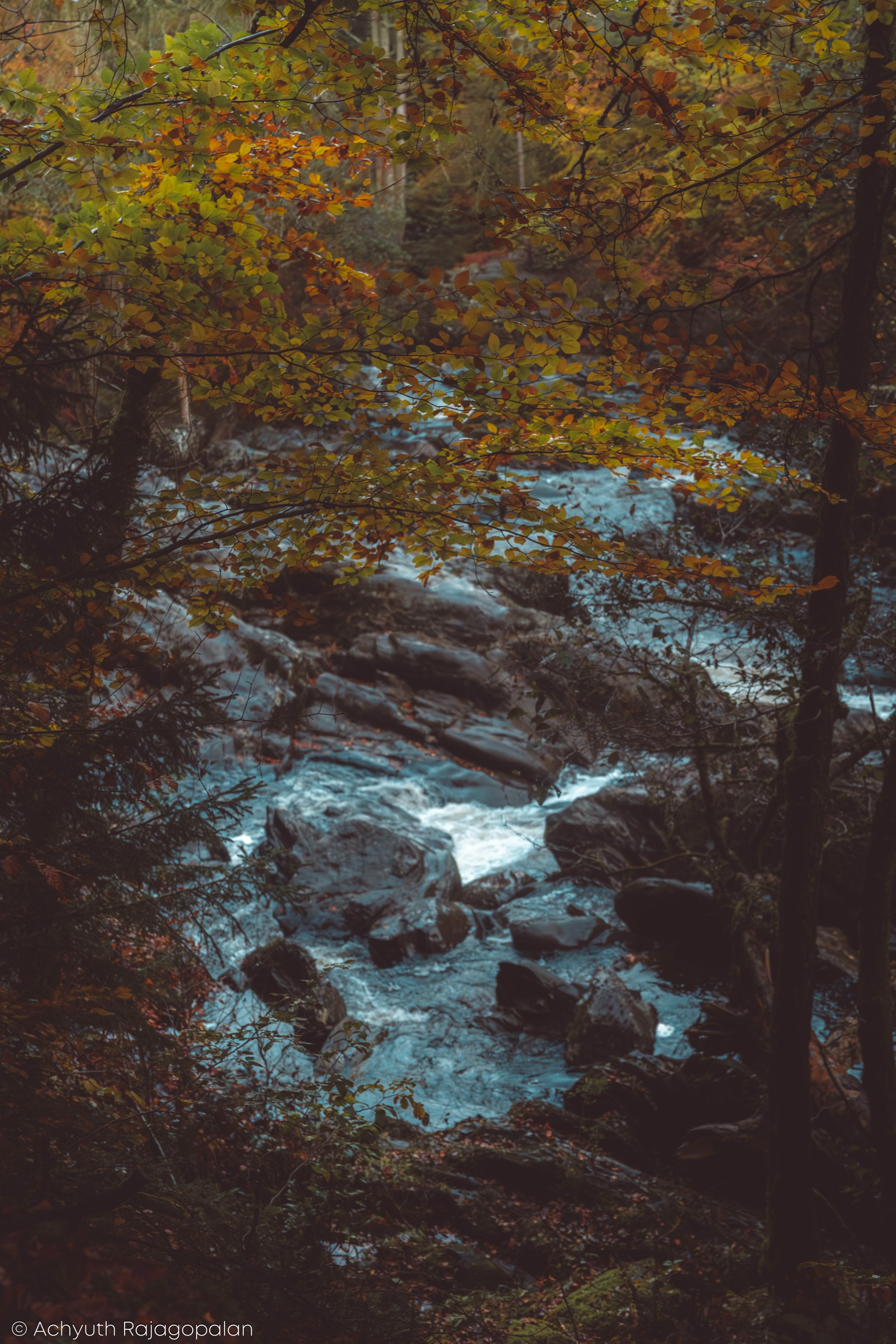 Hermitage-92.jpg