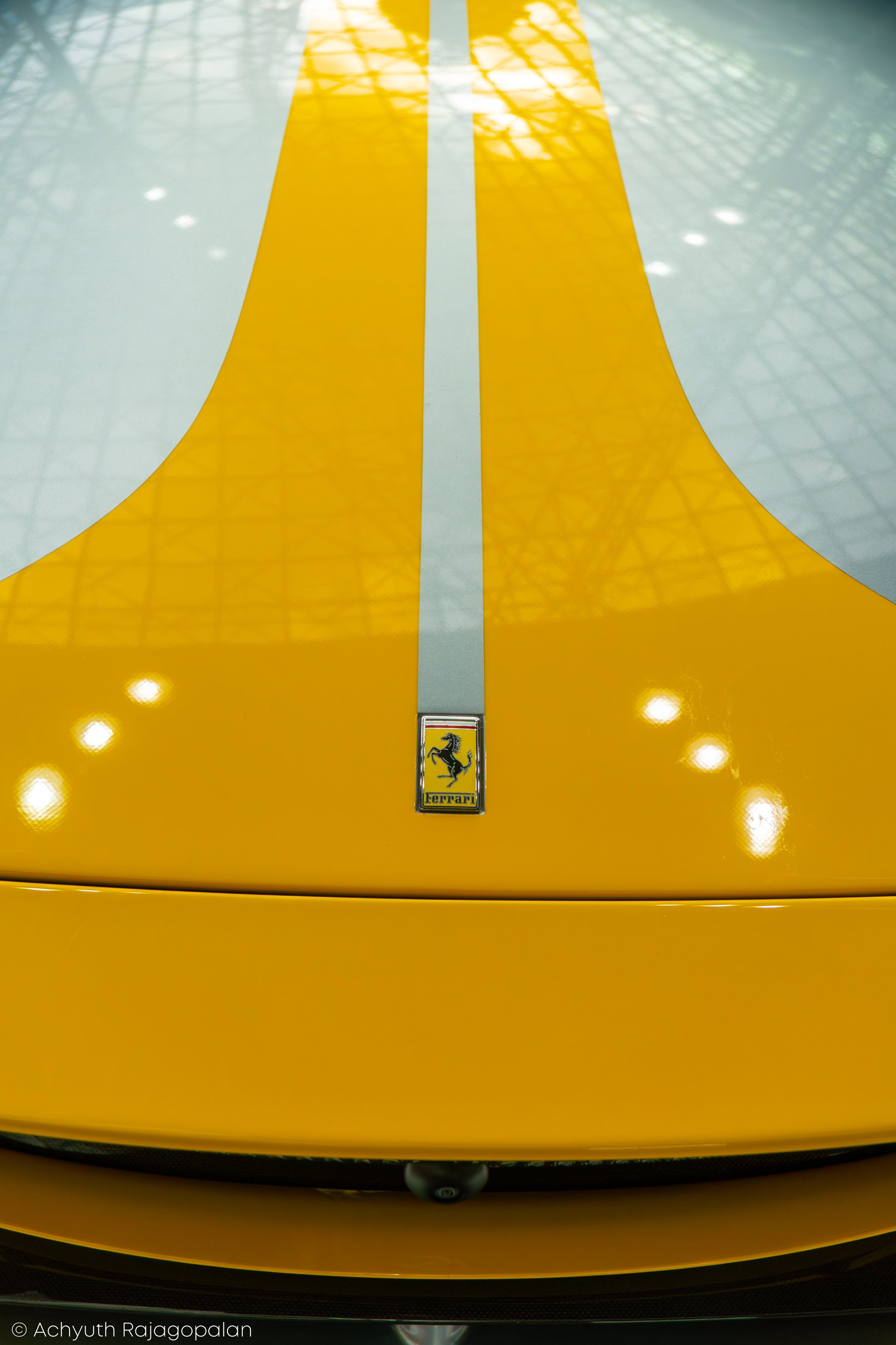 FW-14.jpg