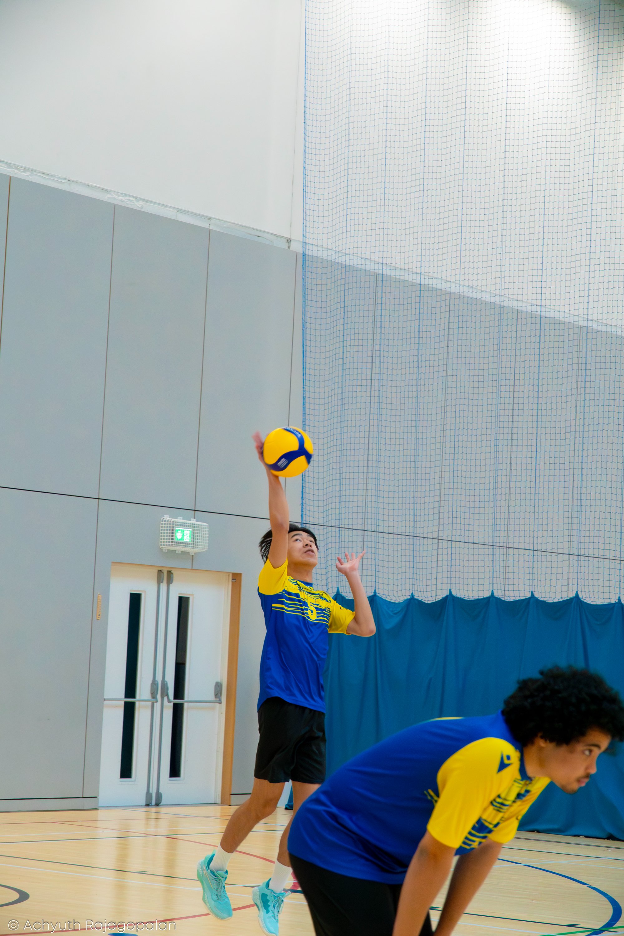 A volleyball player in a yellow and blue team uniform is preparing to serve the ball during an indoor volleyball game. Other players are in a defensive stance, and a volleyball net and gymnasium wall are visible in the background.