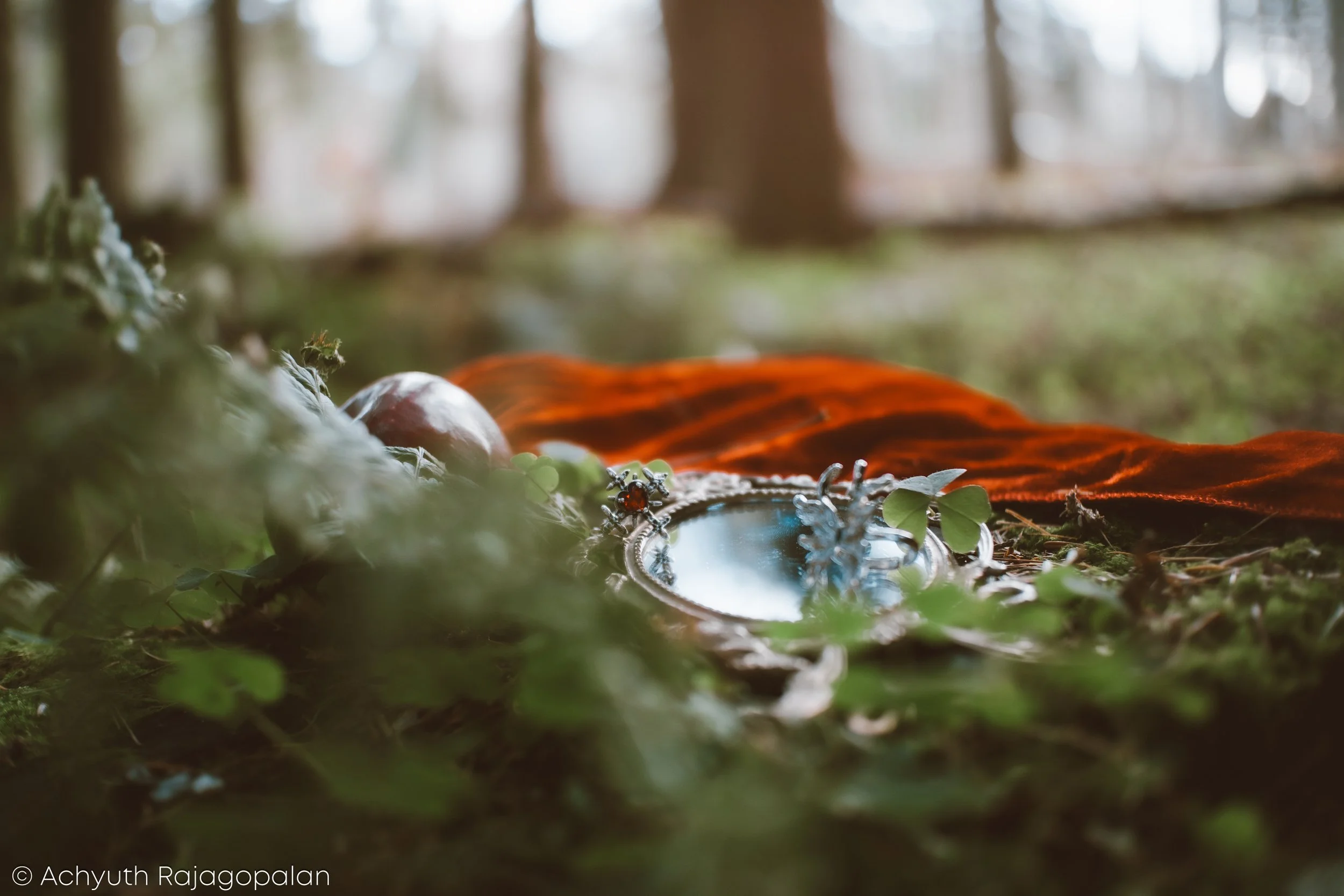 A close-up of a silver pocket watch lying on the forest floor surrounded by green leaves, moss, and small plants, with blurred trees in the background.