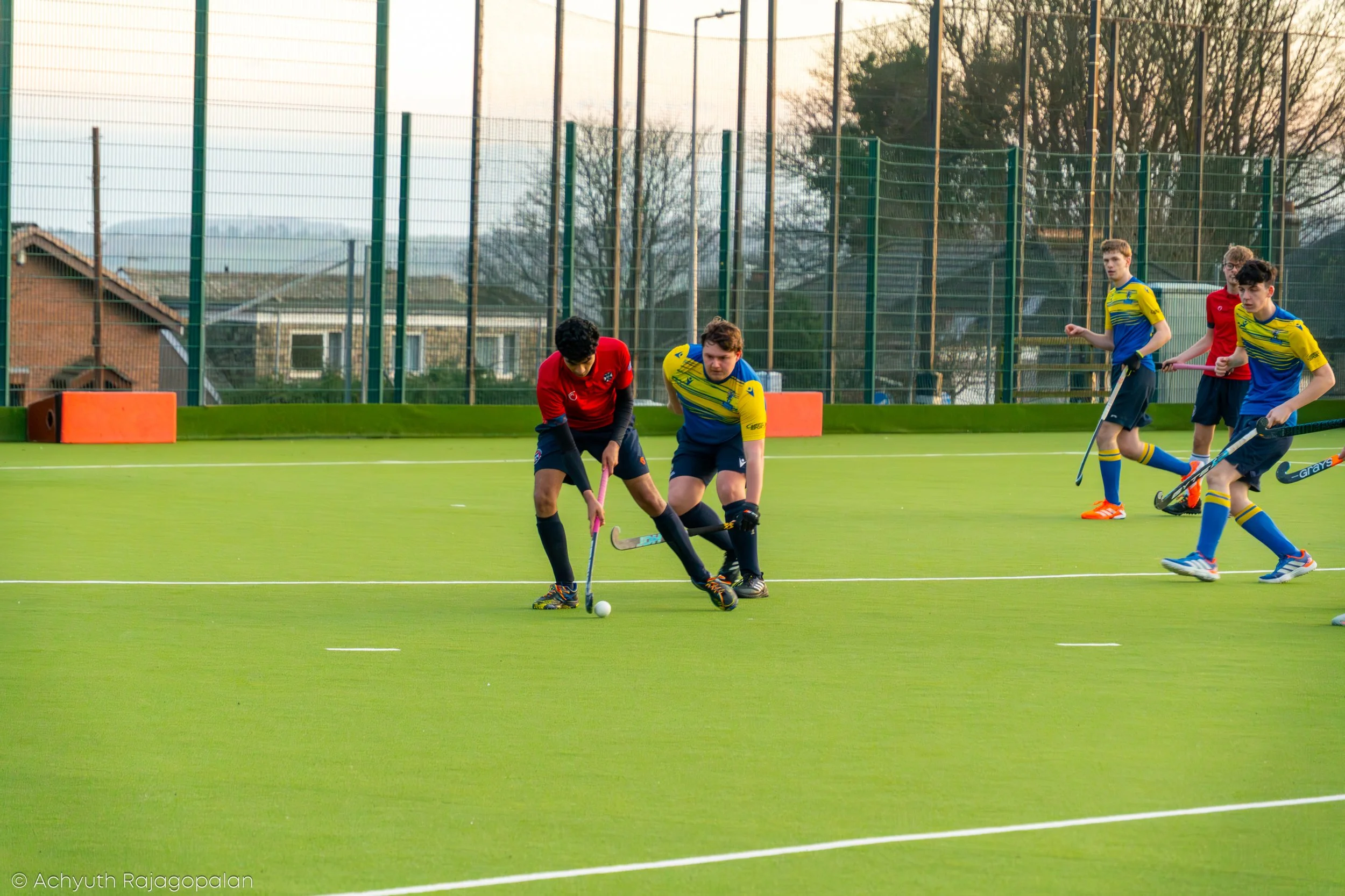 Youth field hockey players in colorful uniforms actively playing on a green turf field with a fence and trees in the background during late afternoon.