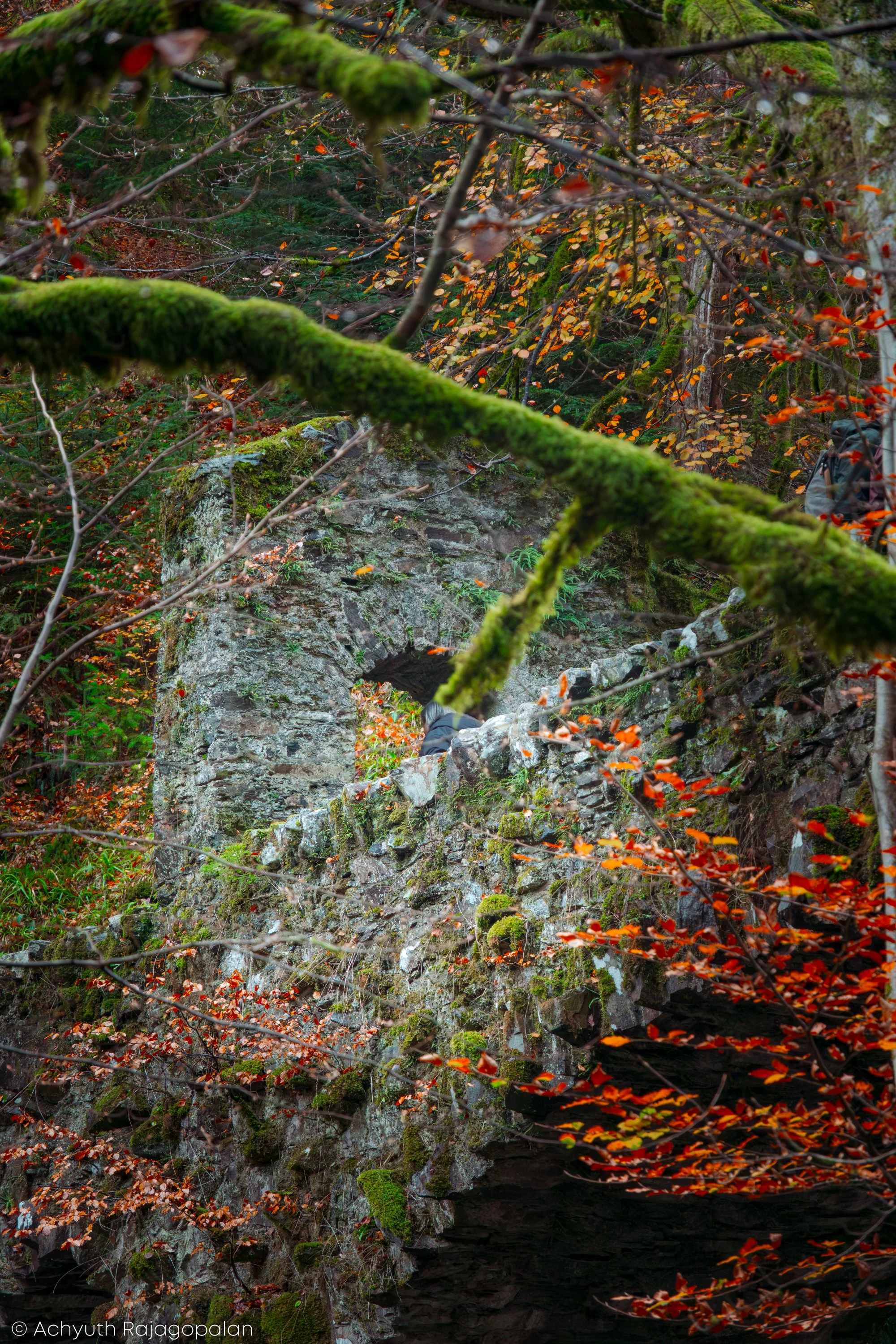 Hermitage-18.jpg