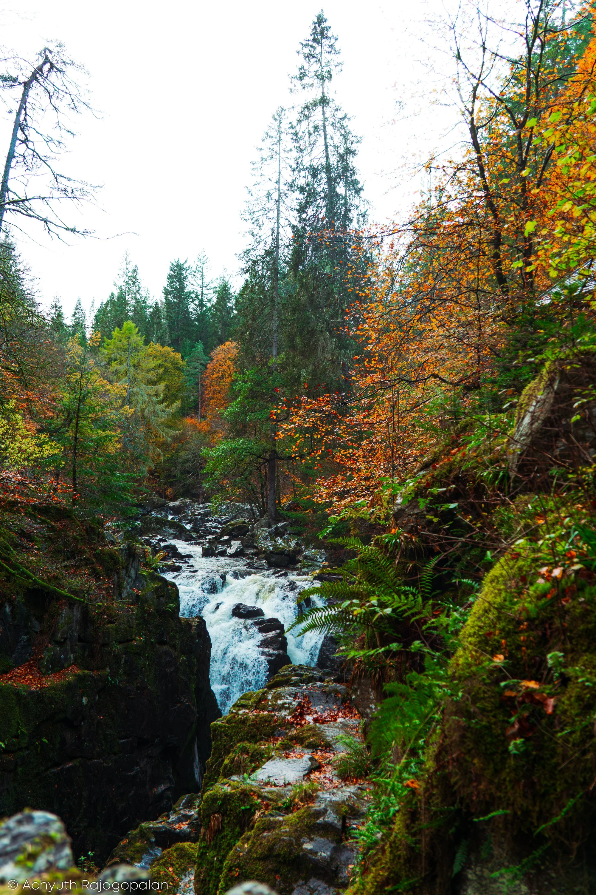 Hermitage-20.jpg
