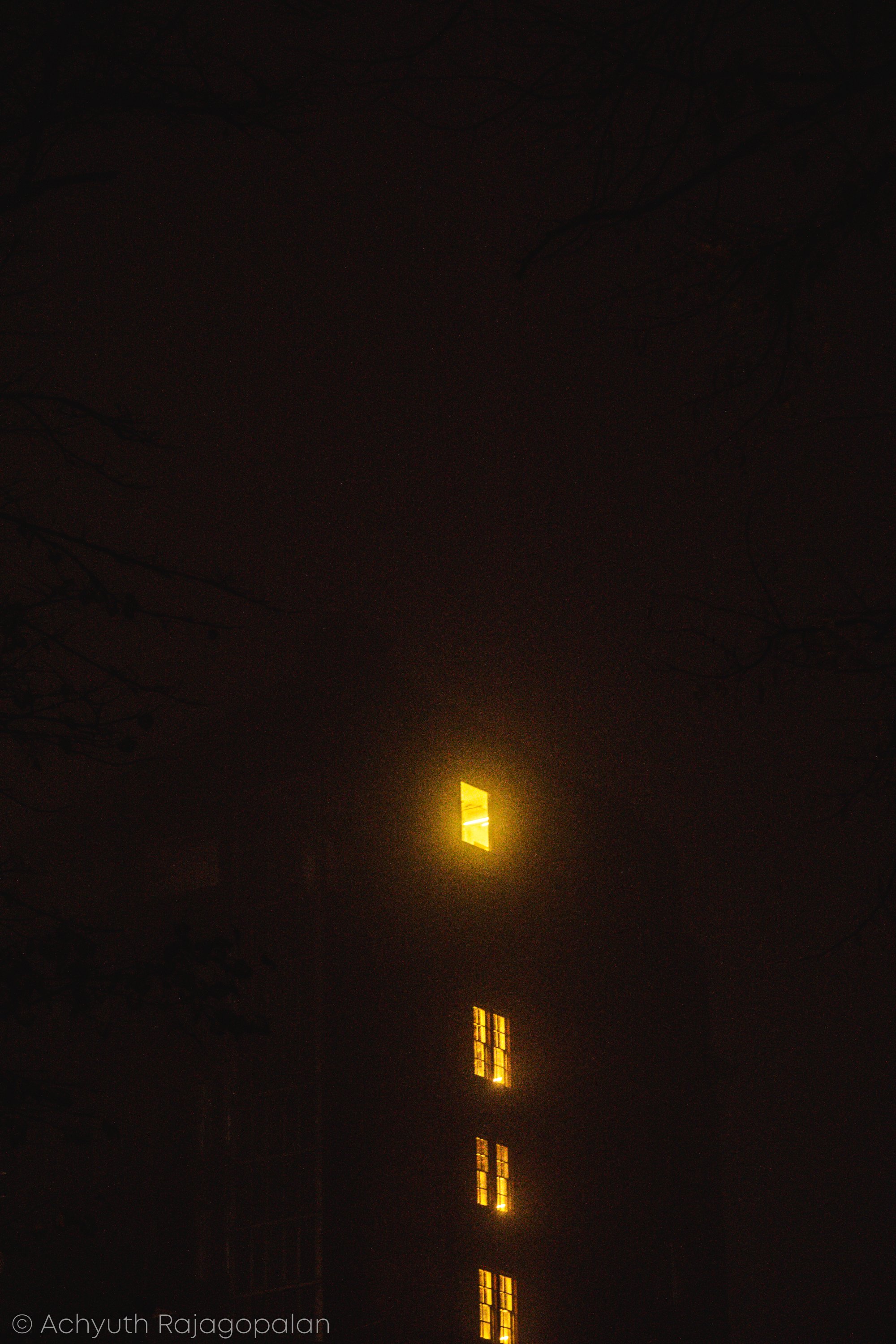 DSC06143.jpg