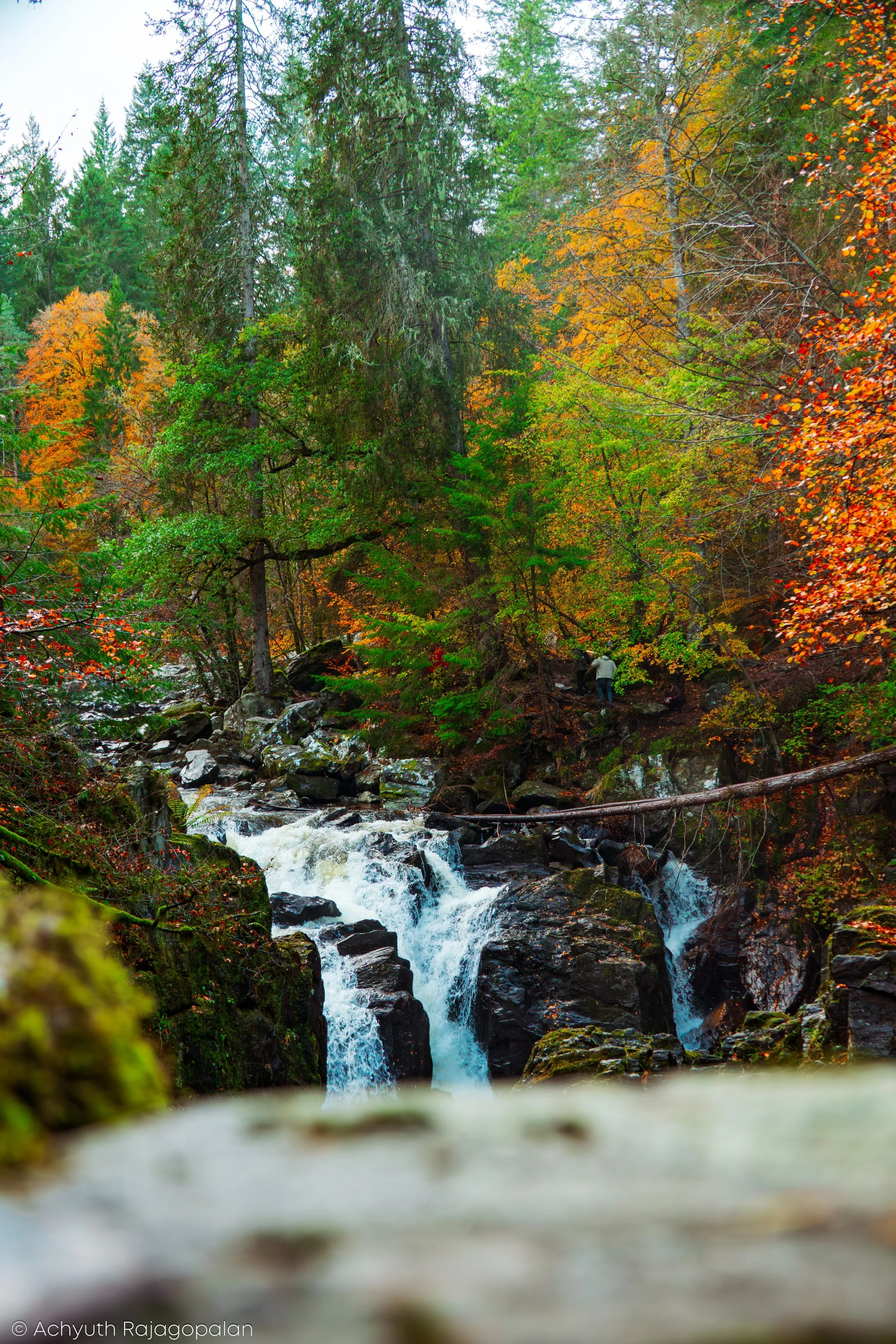 Hermitage-24.jpg