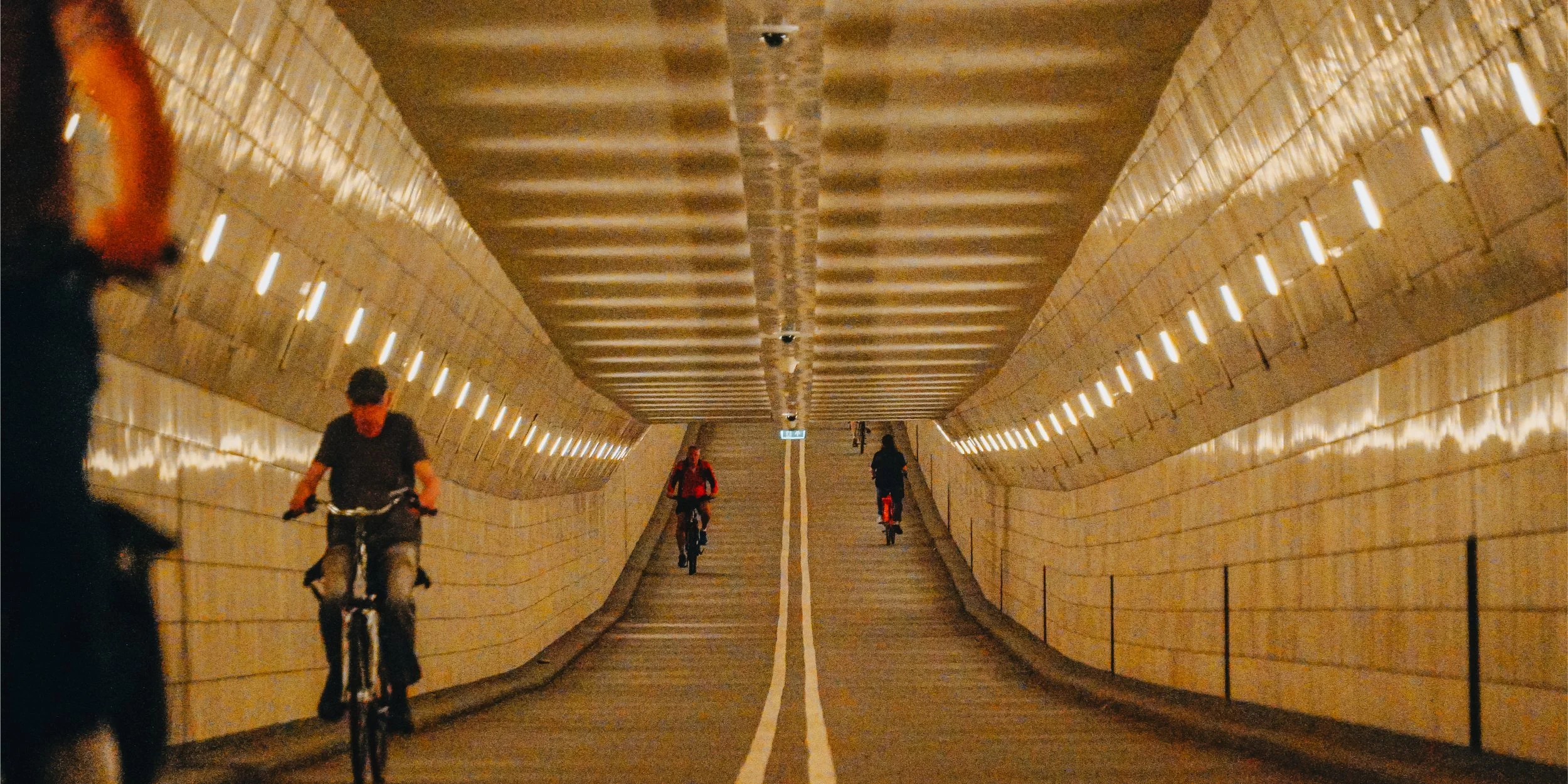 ACH04305.JPG.jpg
