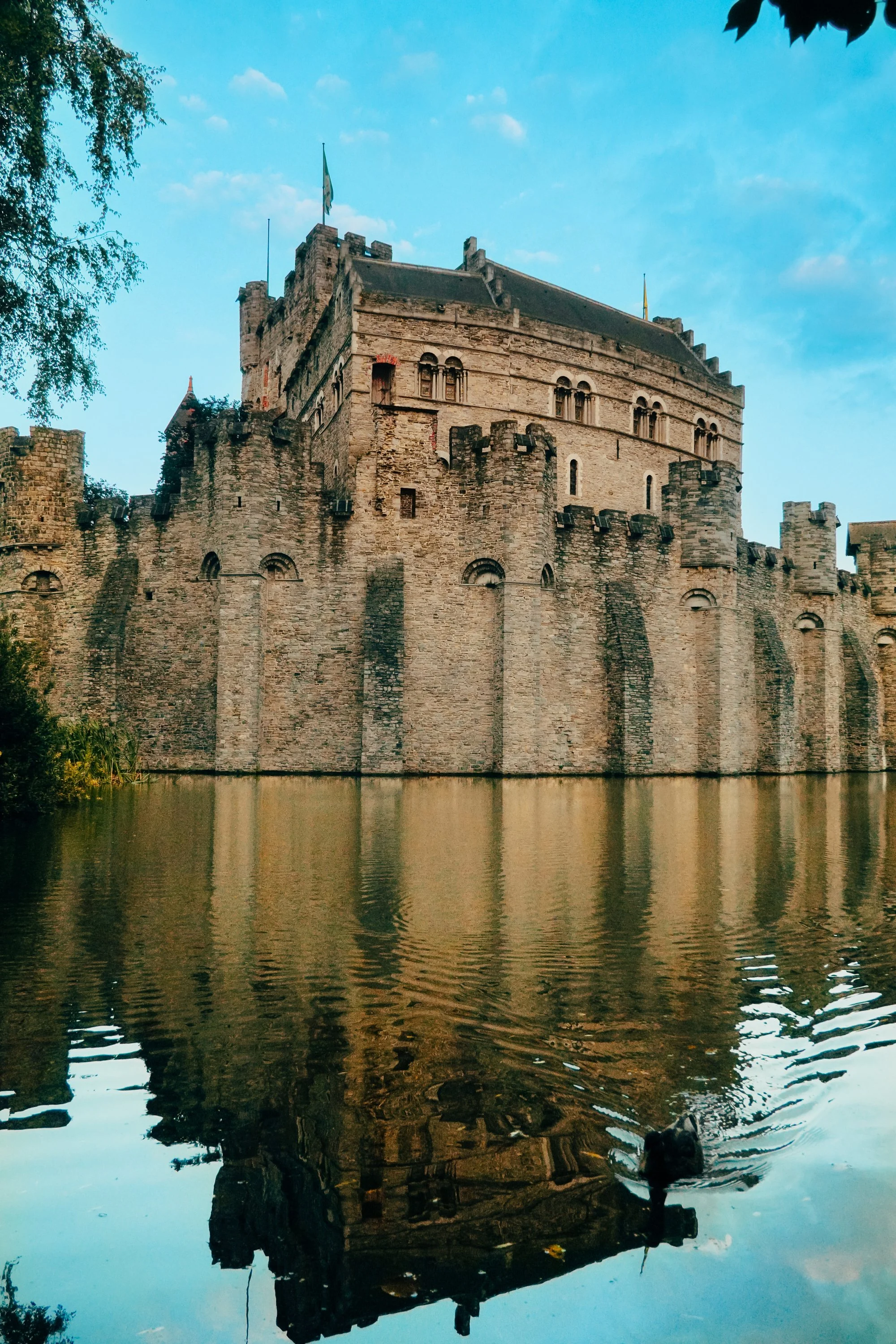 ACH05547.JPG (1).jpg