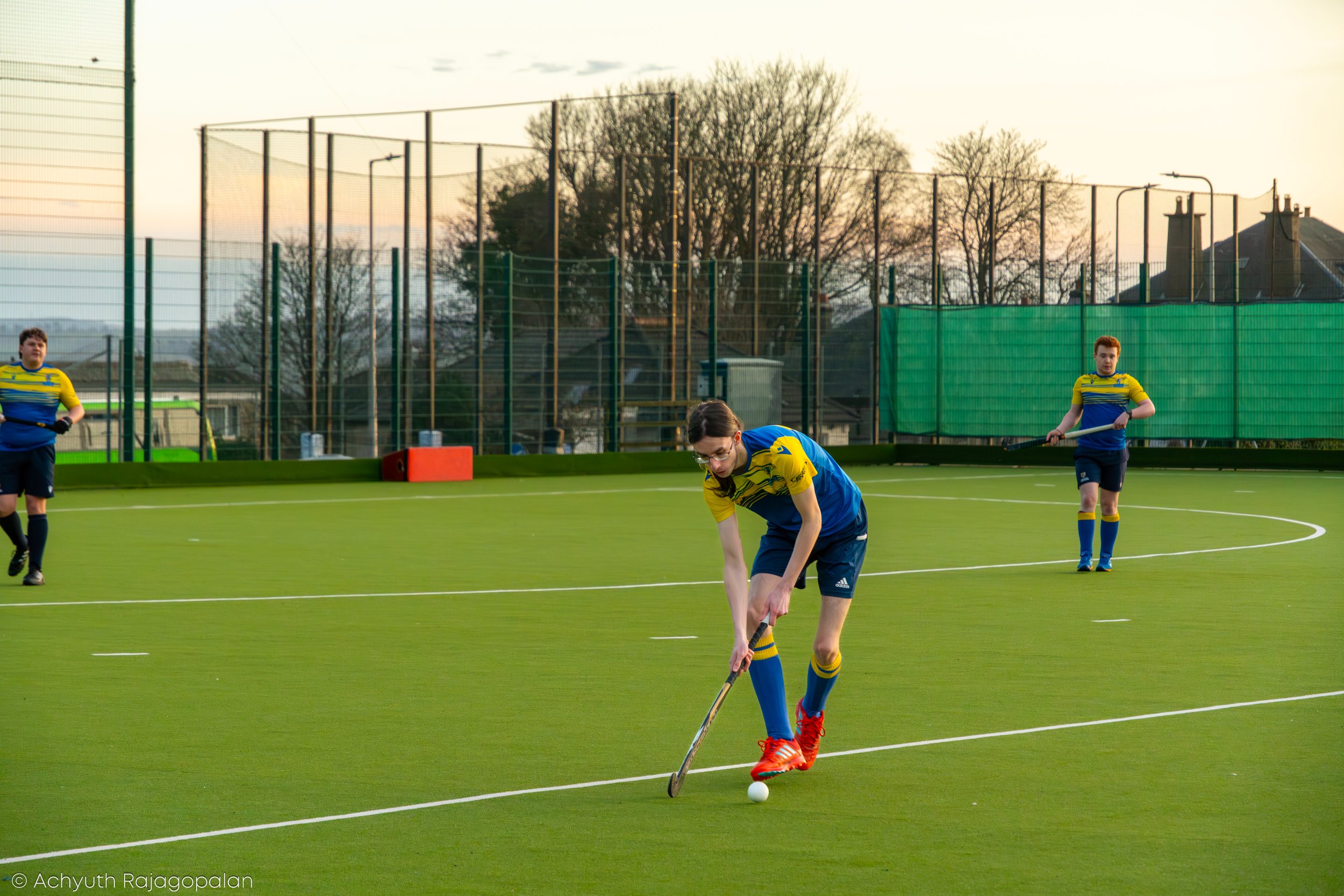 A field hockey game with players in yellow and blue uniforms on an artificial turf field, with some players in action and others observing, surrounded by a fence and trees in the background during the evening.