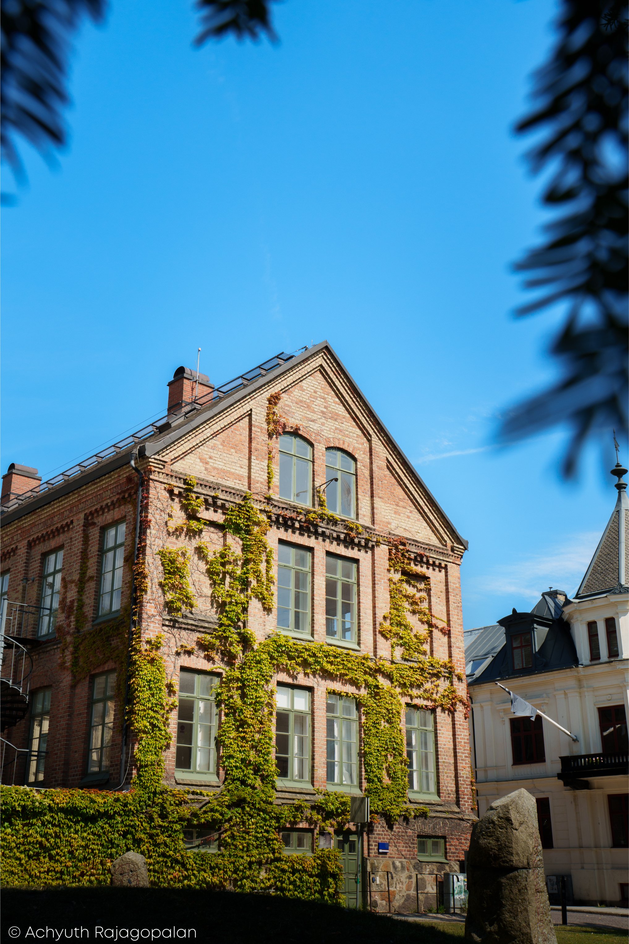 ACH00336.jpg