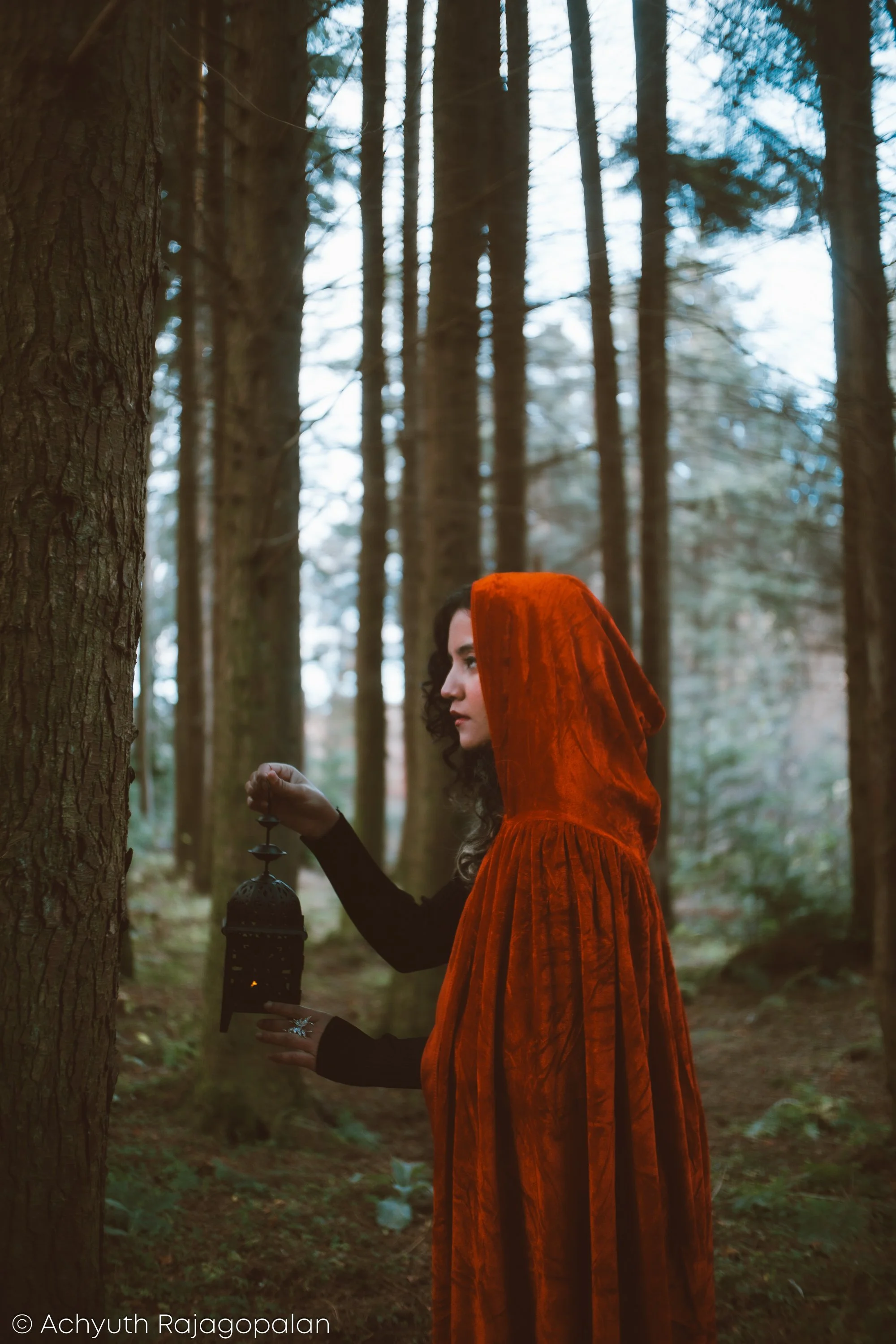 A woman in a burnt orange hooded cloak holding a lantern in a forest with tall trees.