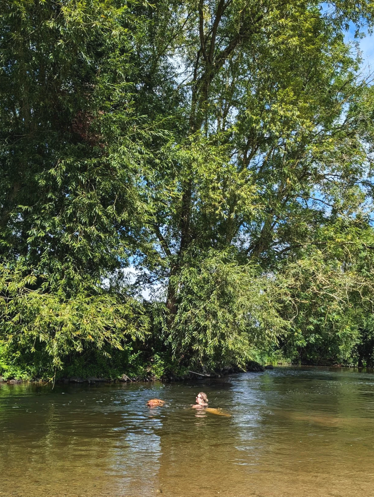 Gemma and her dog swimming in a river under a large leafy tree.