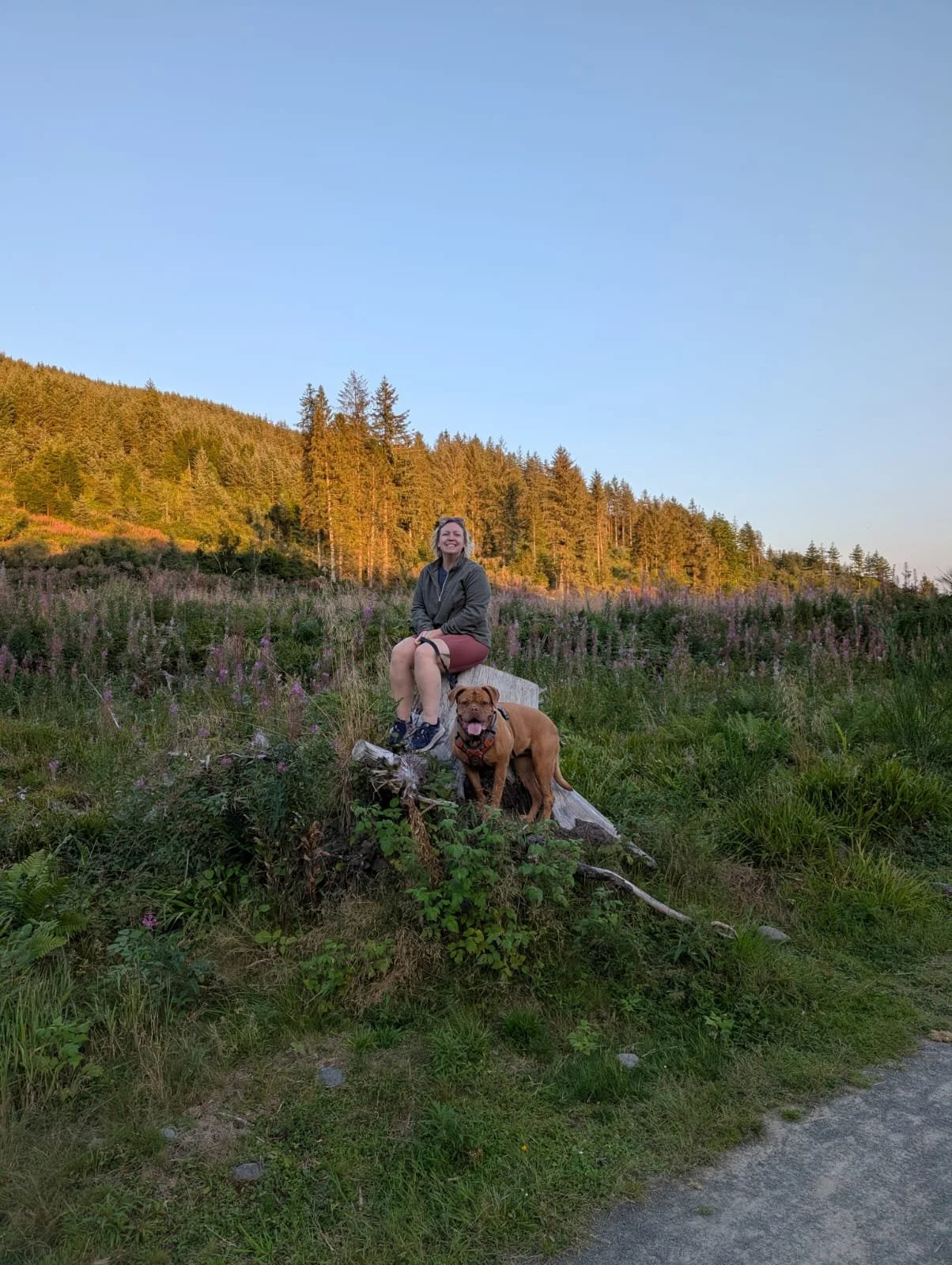 Gemma sat on a tree stump with her dogue de bordeaux on a lead next to hear. the background is the sun setting onto the forest on a hillside in scotland
