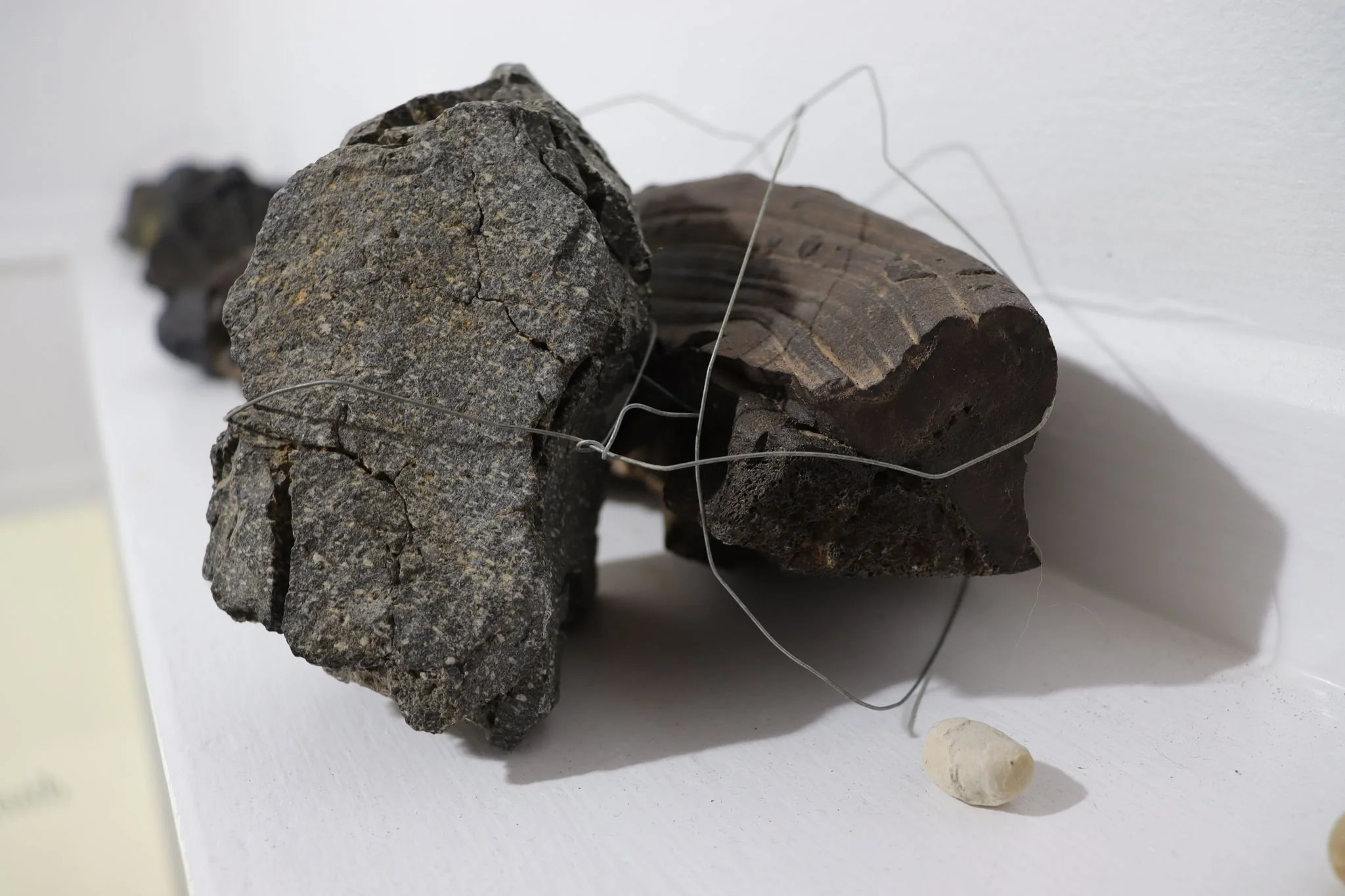 Deborah Rundle, On My Volcano Grows the Grass, 2021.