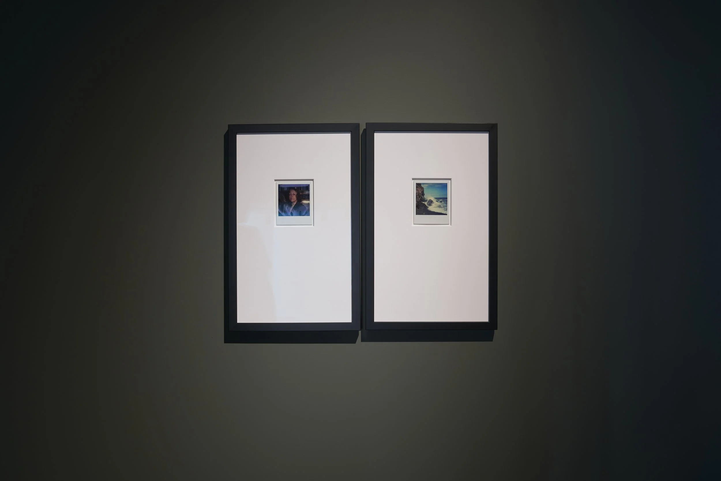 Paul Johns, Beautiful Flowers and How to Grow Them, 2024