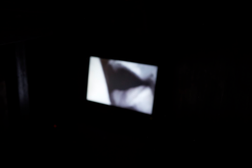 Under Your Skin You Look Divine, curated by DJCS, 2018.