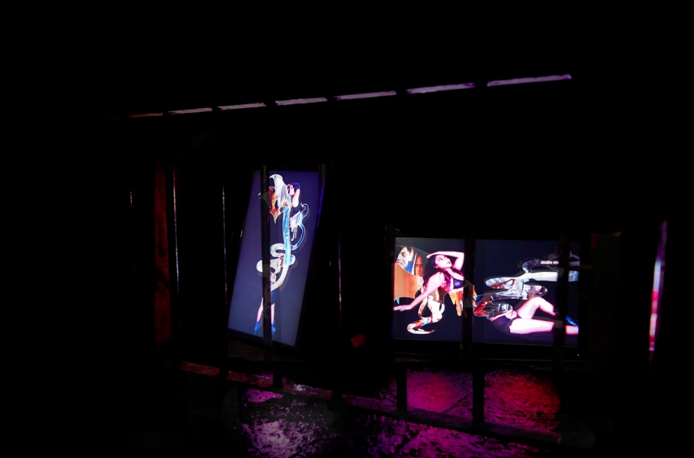 Under Your Skin You Look Divine, curated by DJCS, 2018.