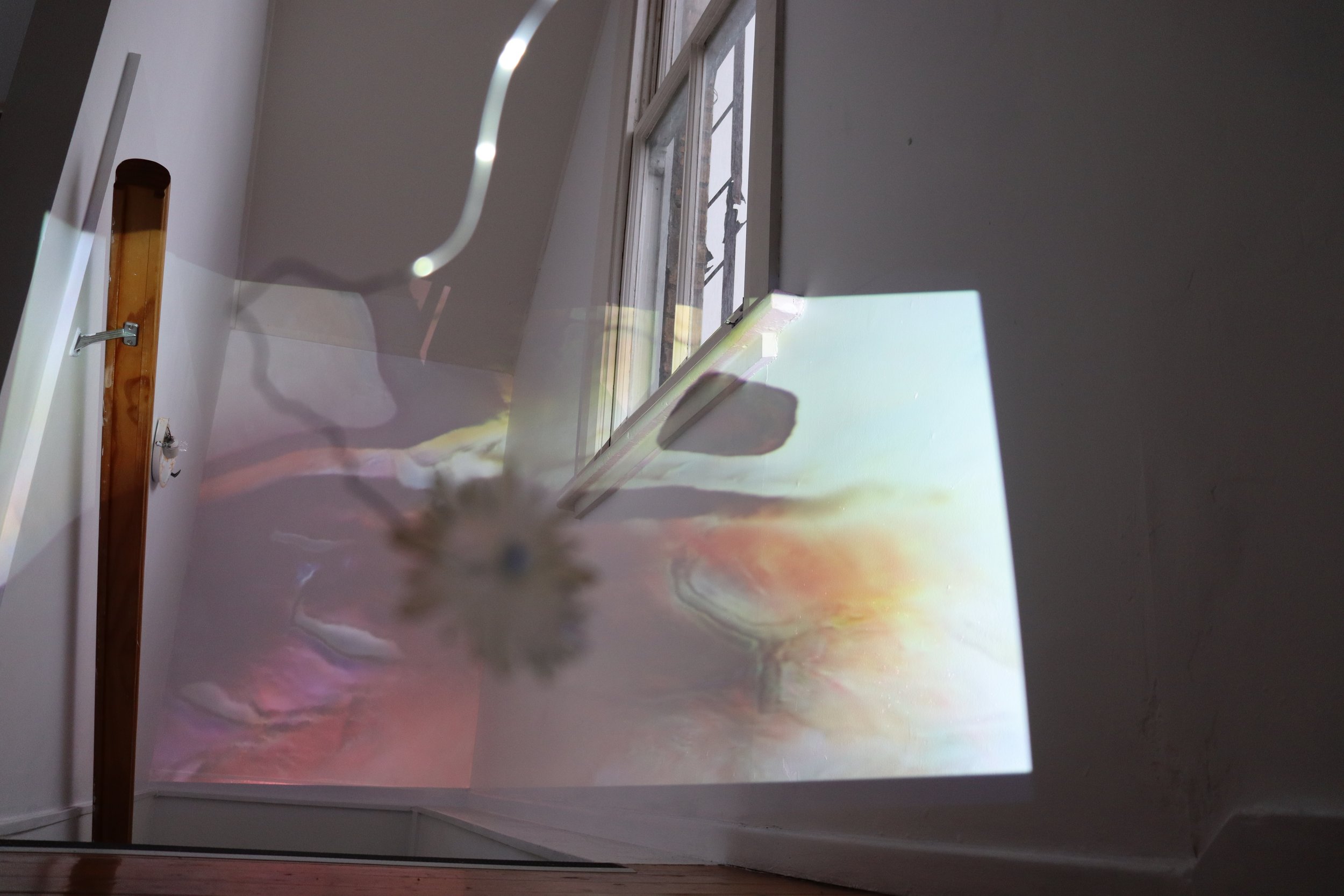 Laura Duffy, Maybe someone is starting to bloom, 2021