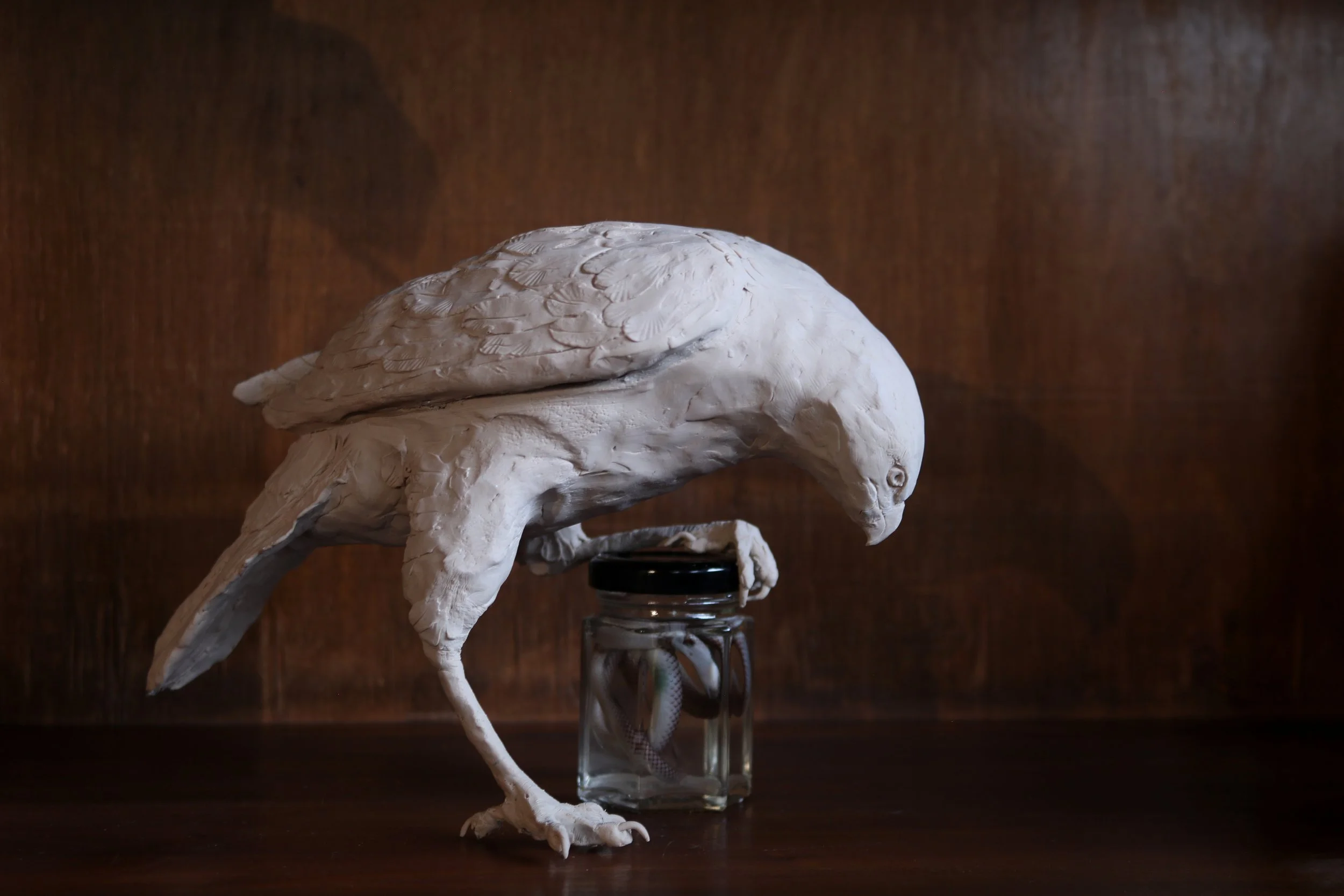 “KILL IT FOR THE MOUTHFEEL” | artist essay