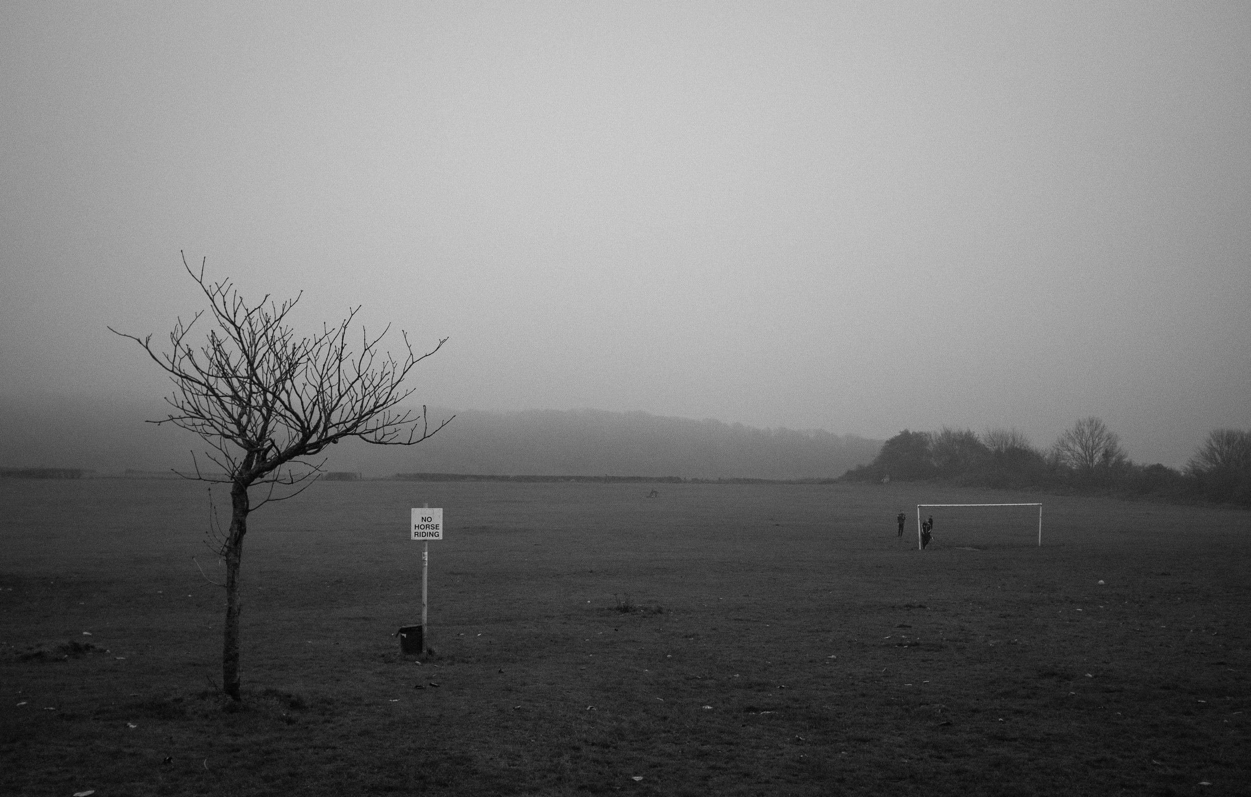DSCF7040.jpg