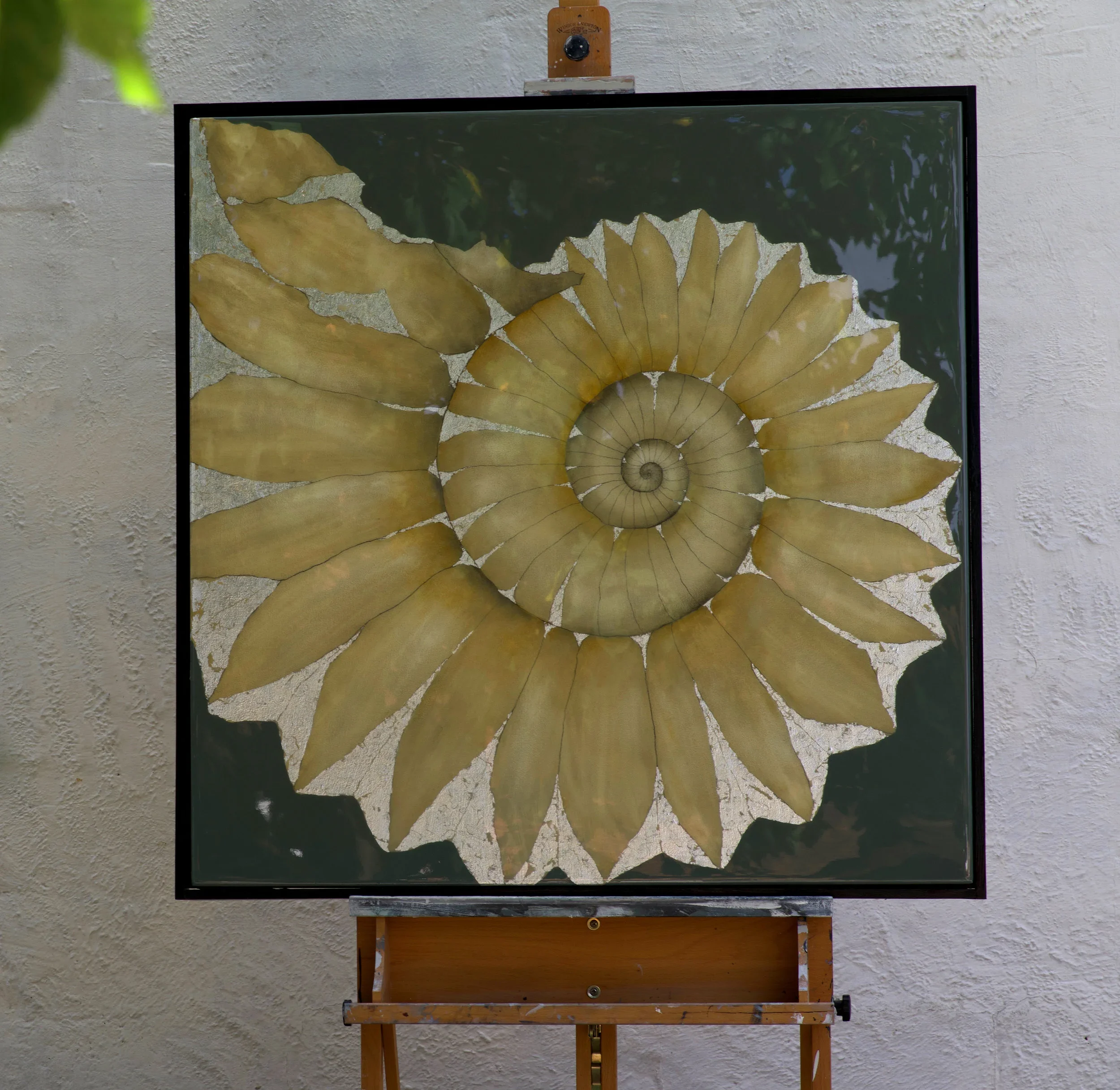 LYME AMMONITE | SOLD
