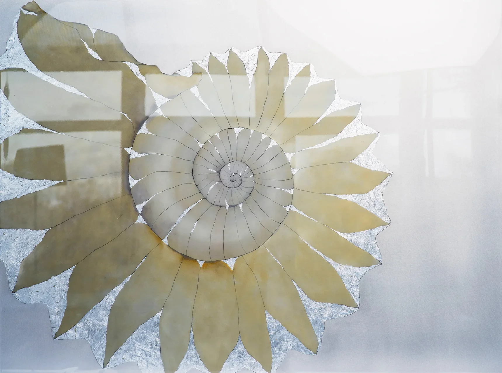 Ammonite 'SPIRALIS' 120x90 | SOLD