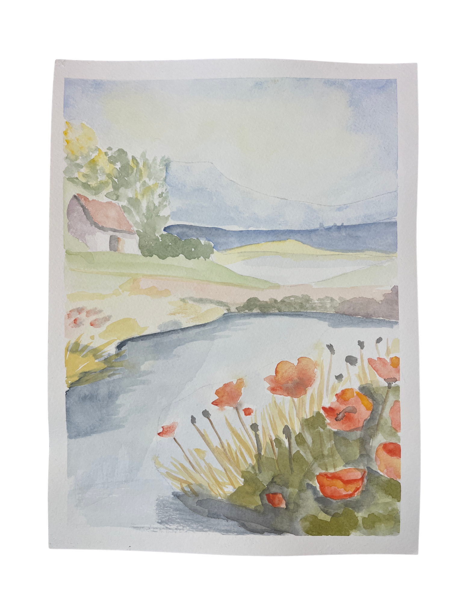 Where the Wildflowers Grow