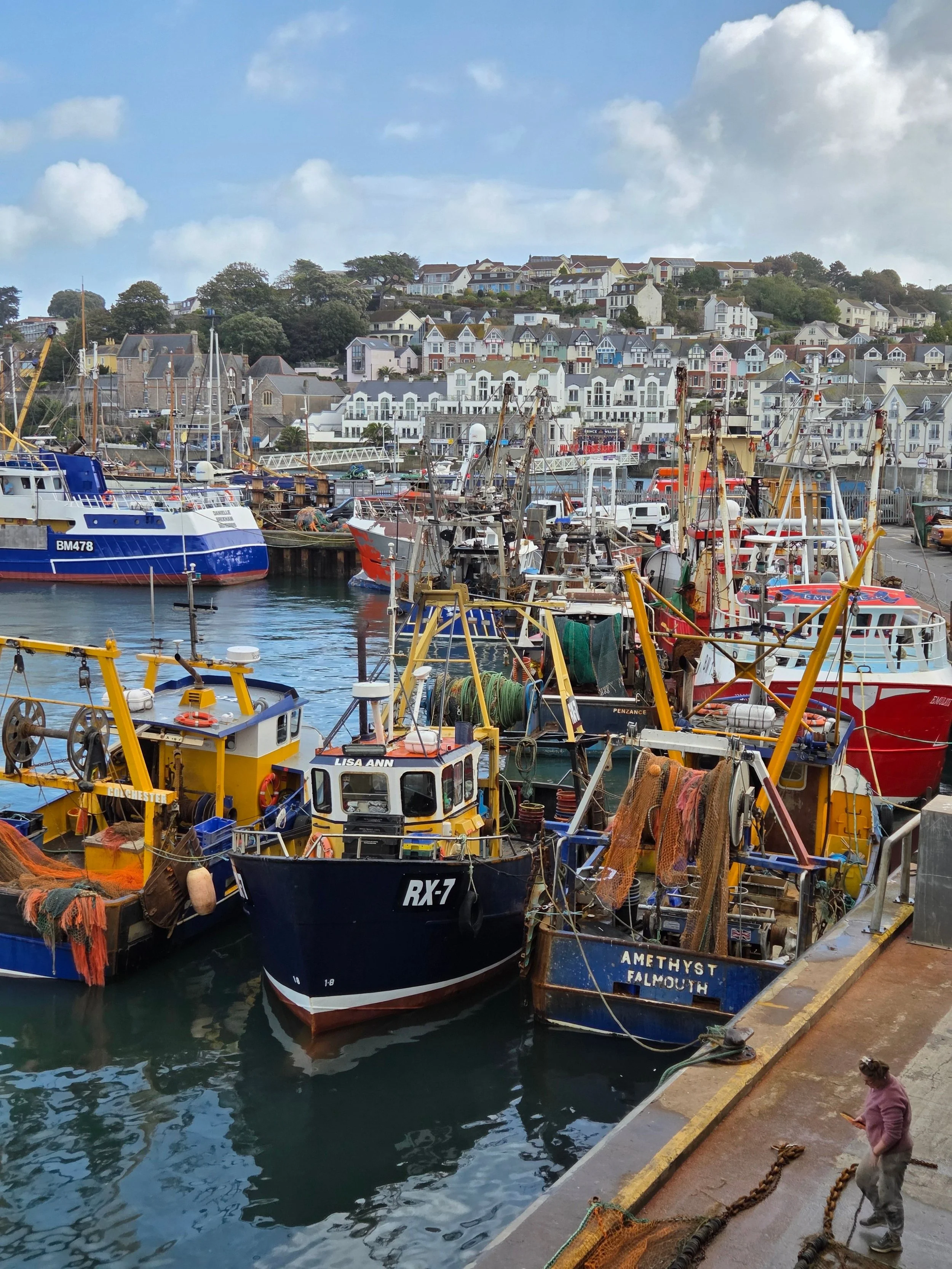 View of a harbor with various fishing boats docked, with colorful houses on a hillside in the background and a partly cloudy sky above.