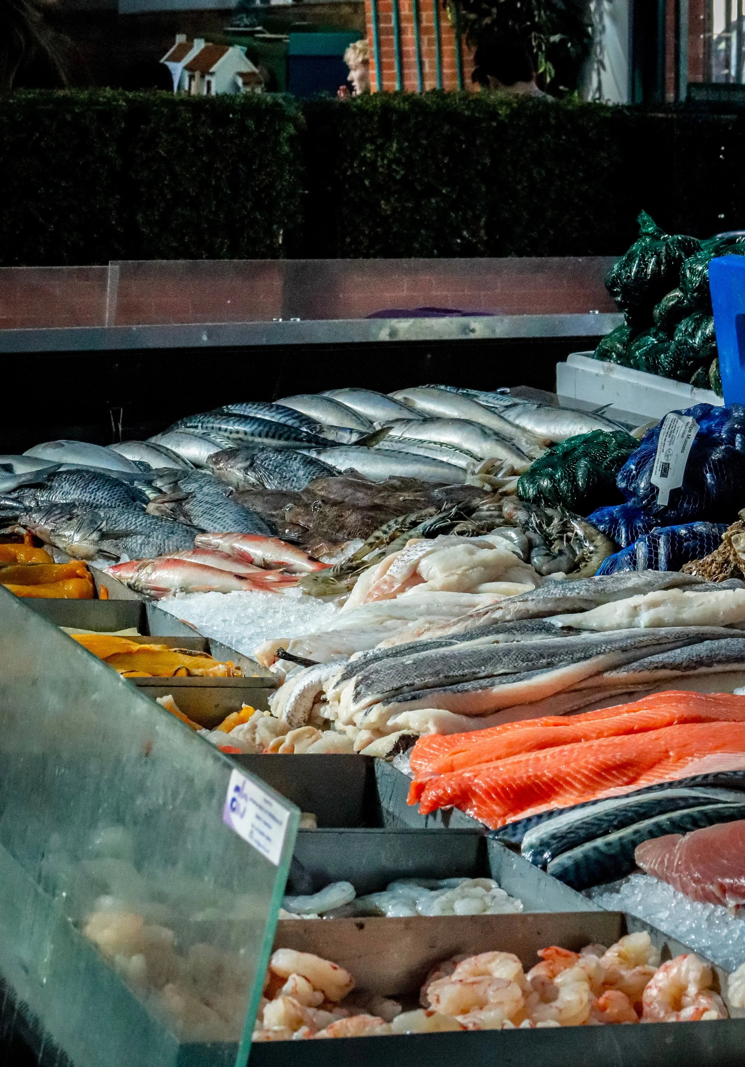 Fresh fish and seafood displayed on ice at a market, with a person visible in the background through a bush.