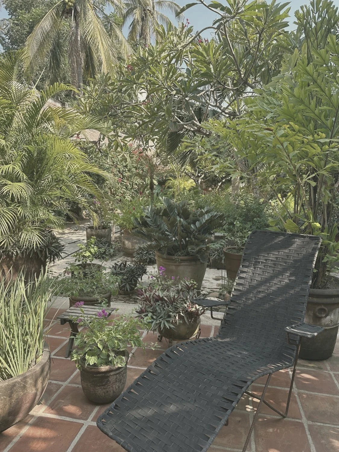 Quiet garden patio with potted plants and a lounge chair