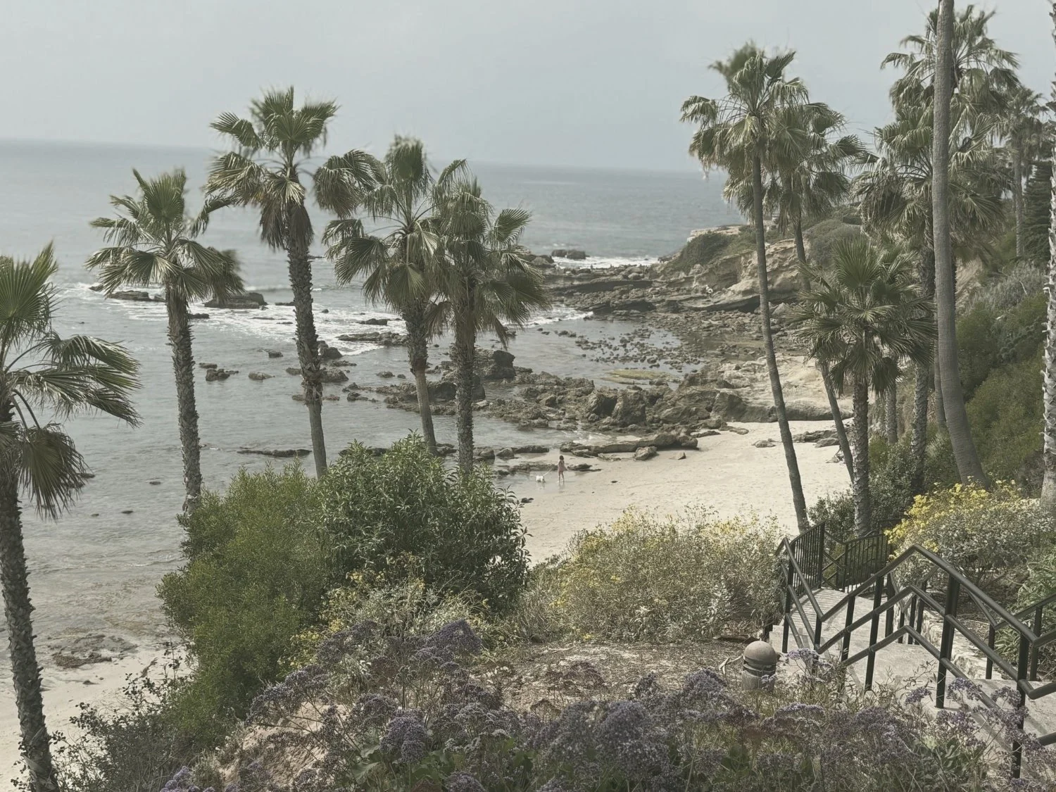 Coastal path leading down through gardens to the ocean